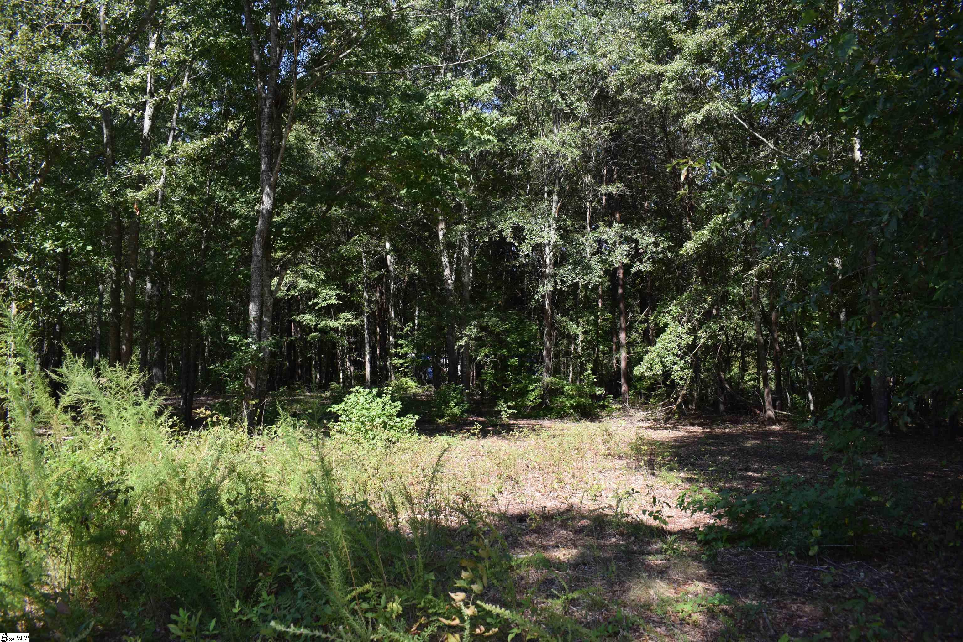 Lyman Lodge Road Lyman, SC 29365