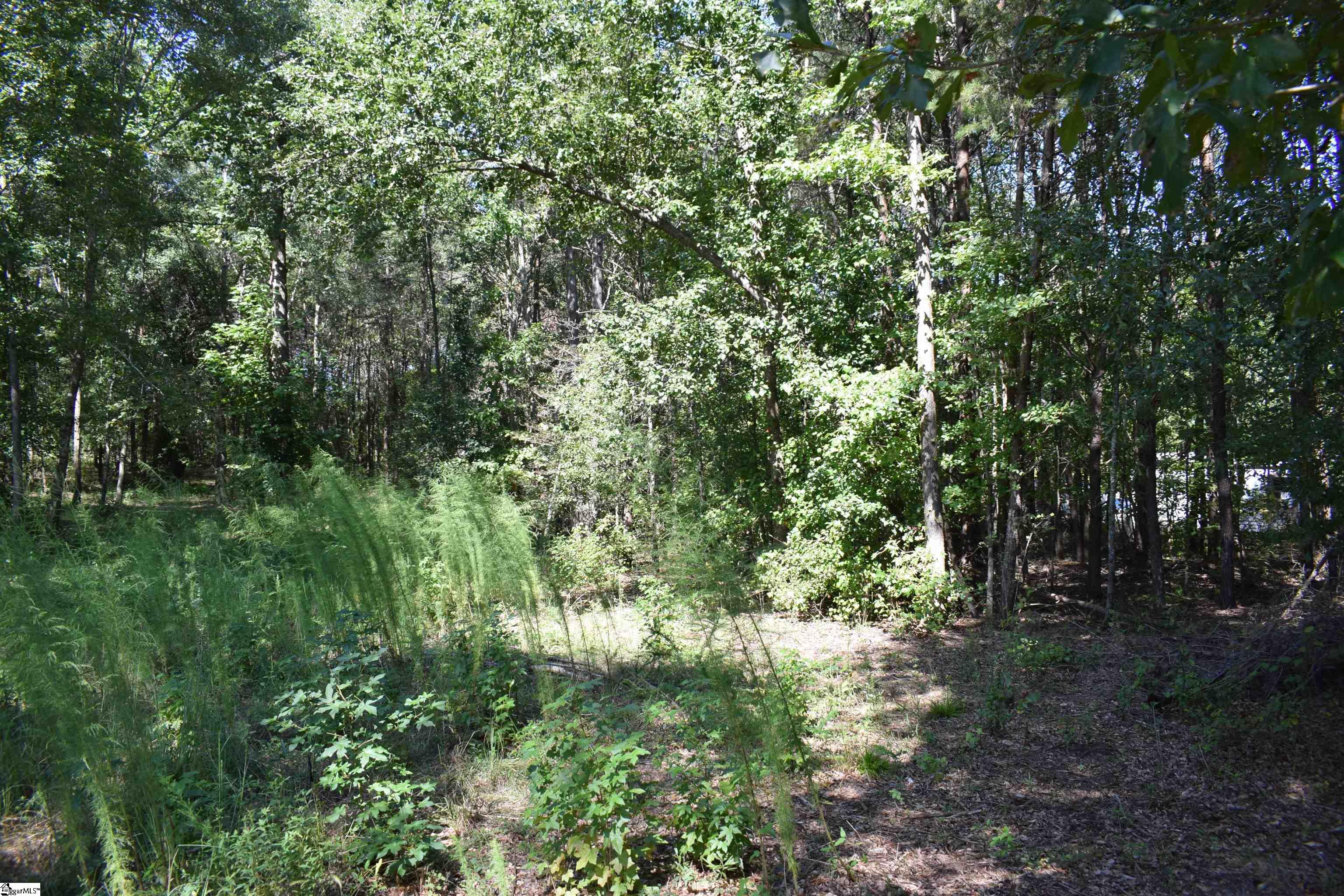 Lyman Lodge Road Lyman, SC 29365