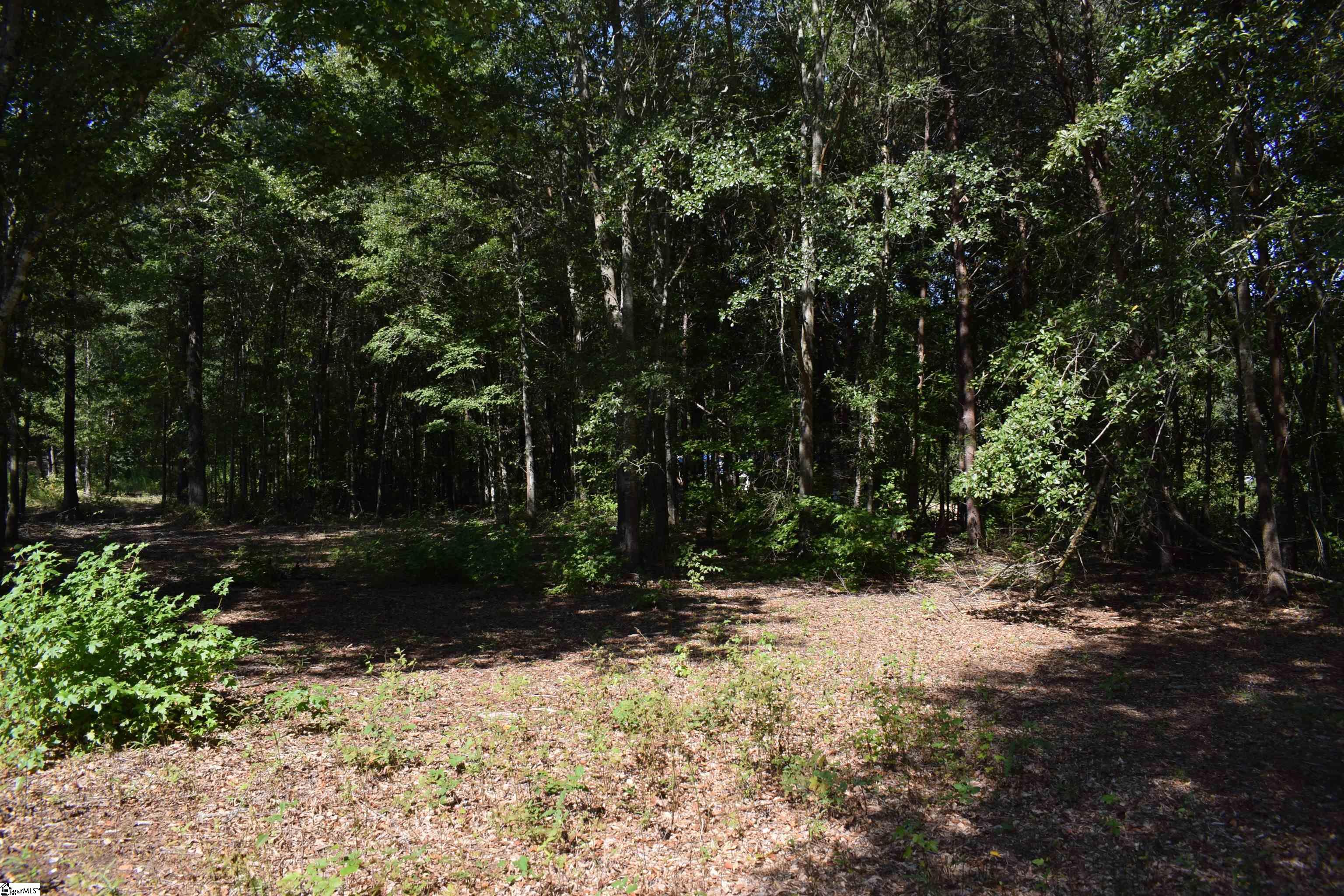 Lyman Lodge Road Lyman, SC 29365