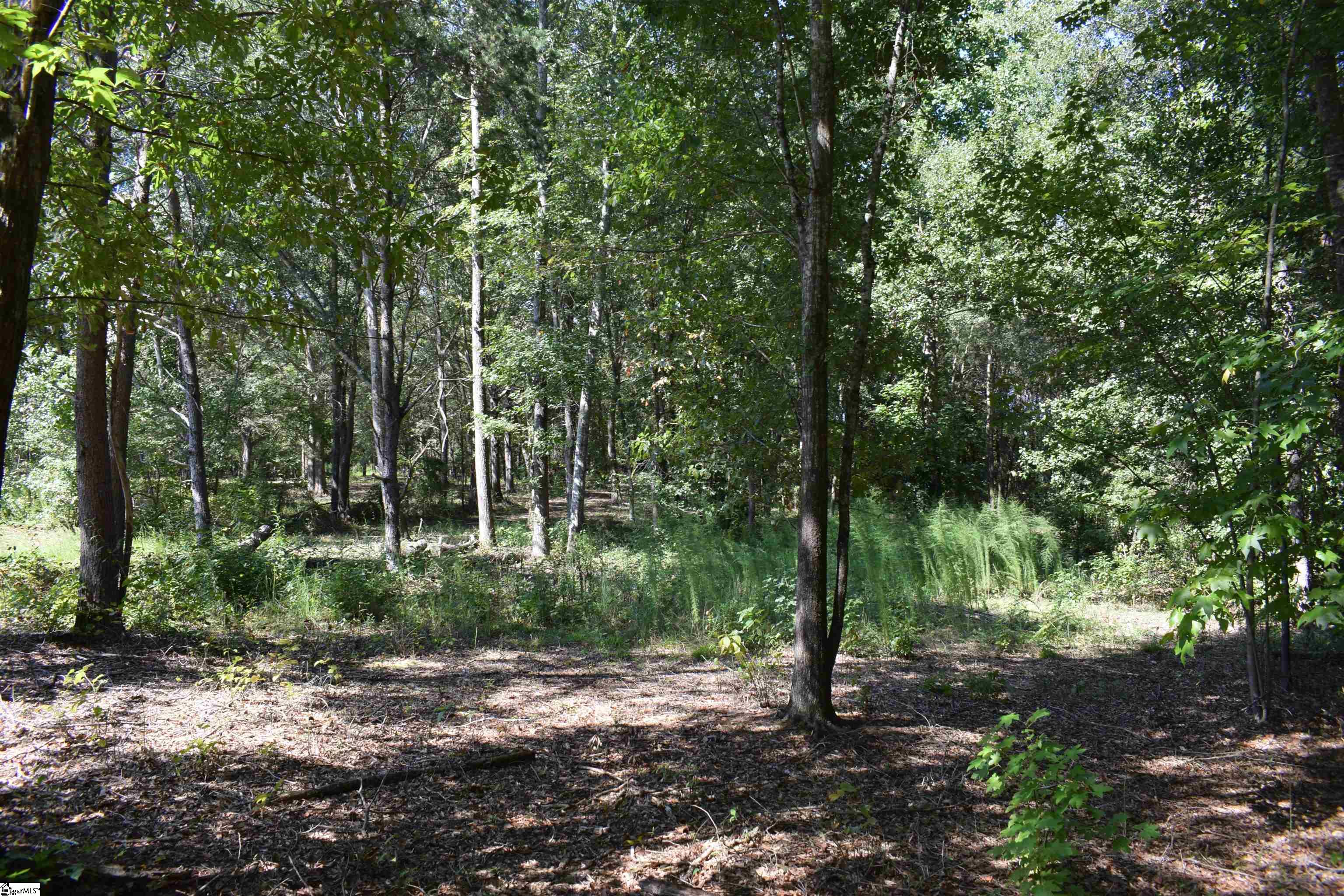 Lyman Lodge Road Lyman, SC 29365