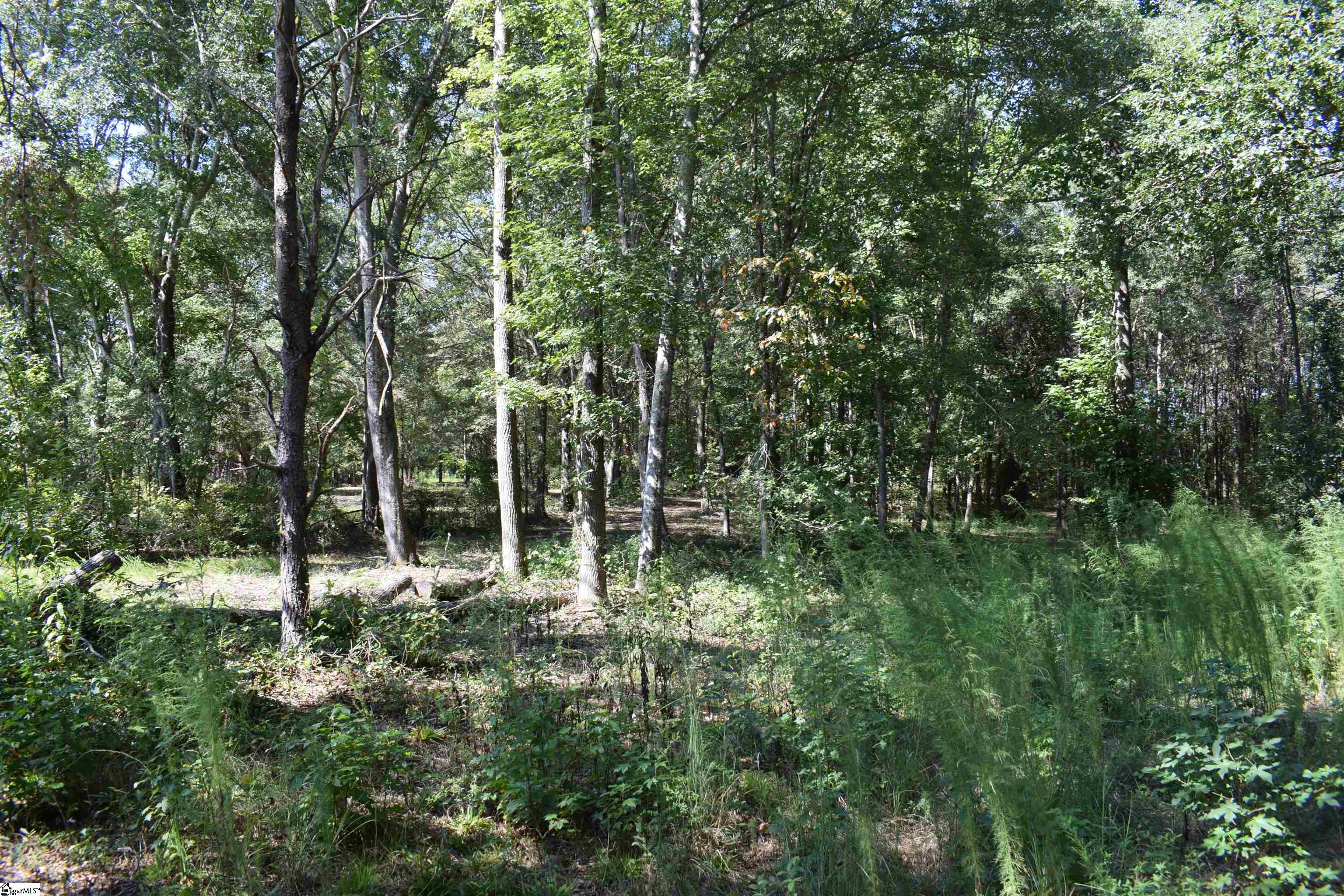 Lyman Lodge Road Lyman, SC 29365