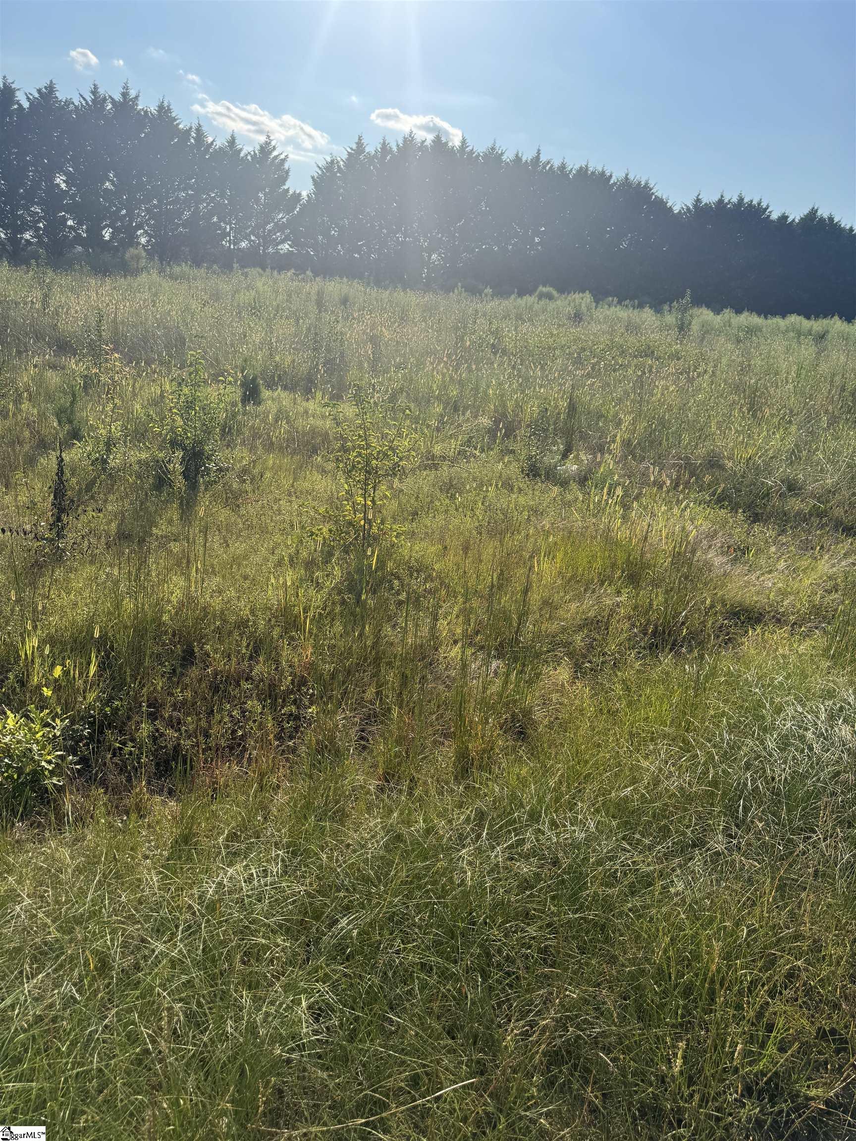 44 Lester Road Williamston, SC 29697