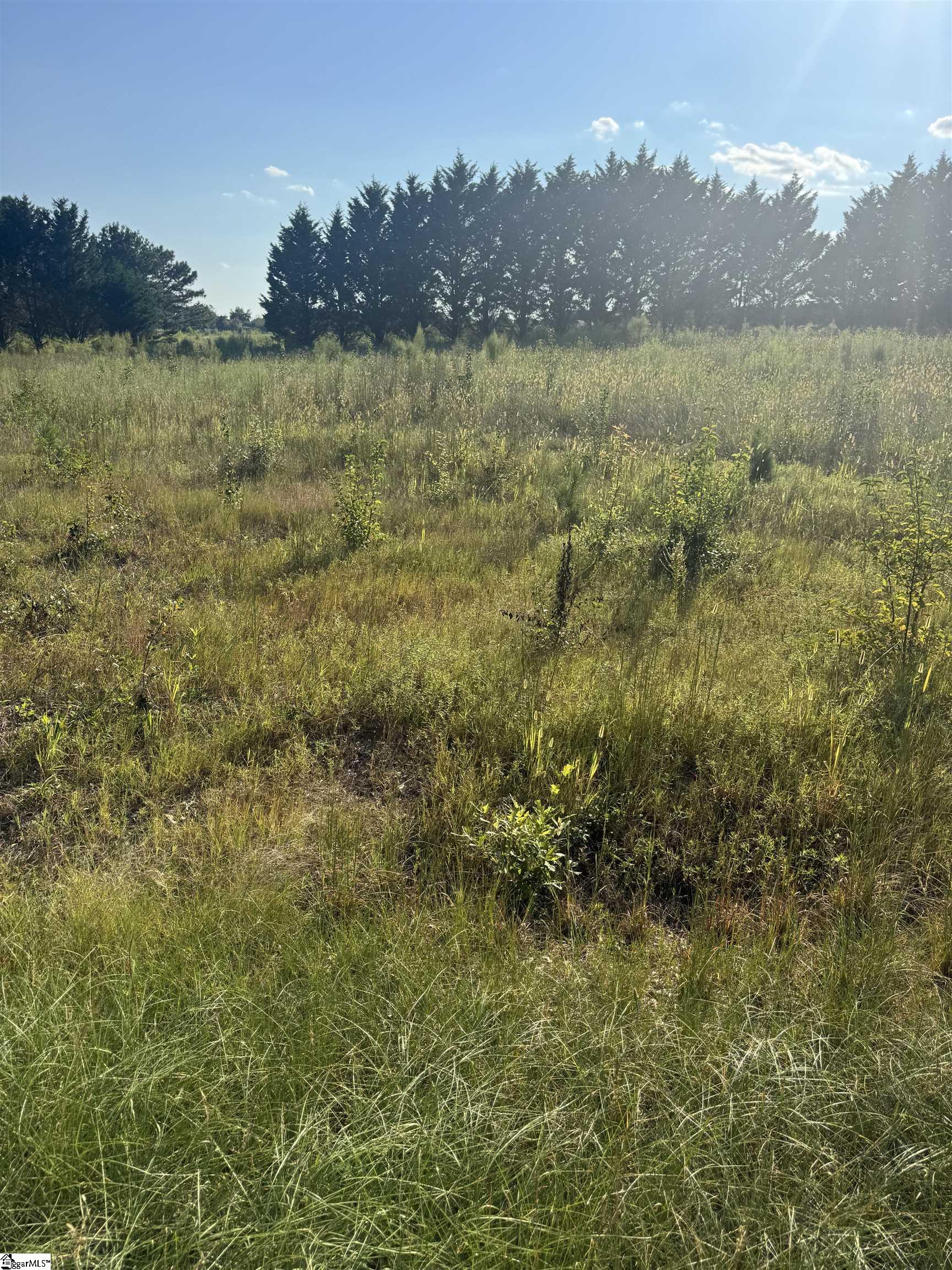 44 Lester Road Williamston, SC 29697