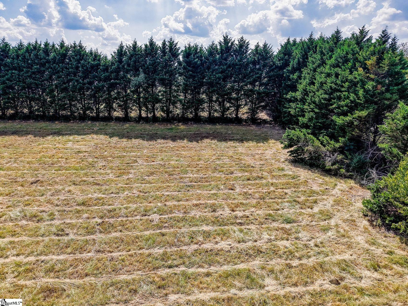 40,42 Lester Road Williamston, SC 29697