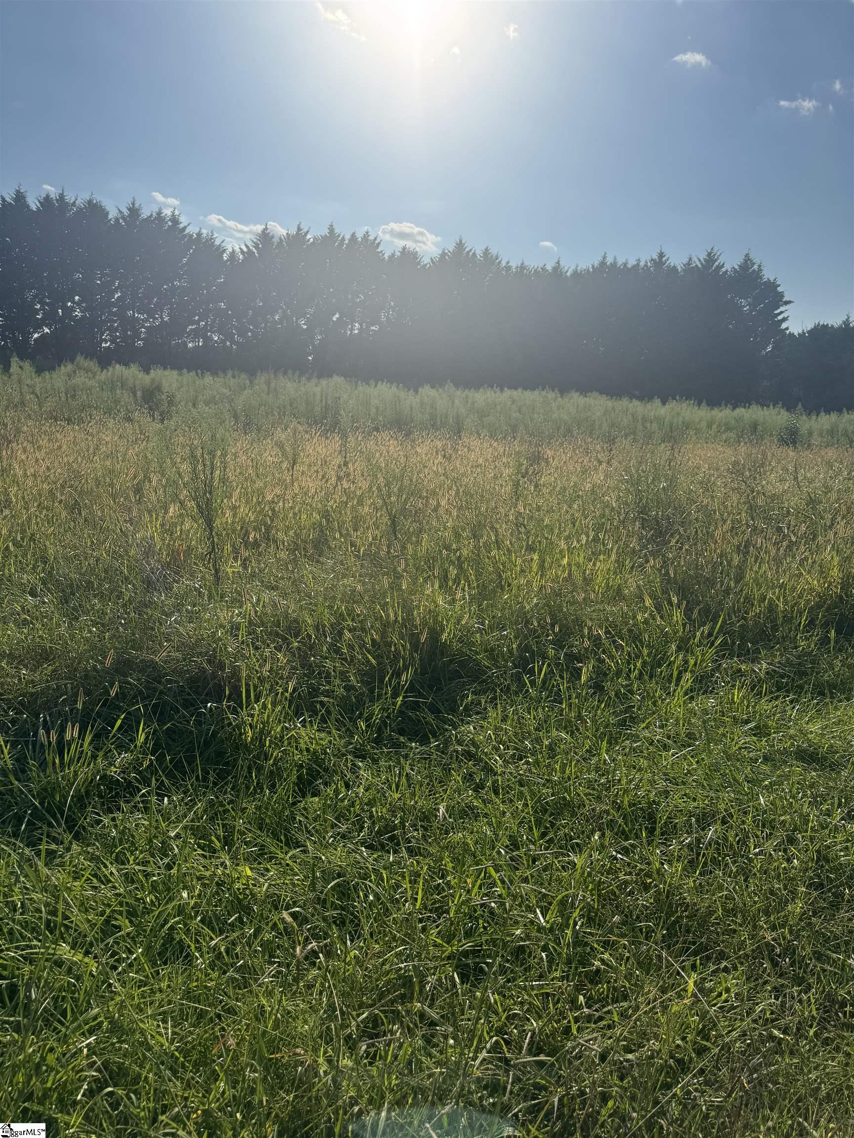 40,42 Lester Road Williamston, SC 29697