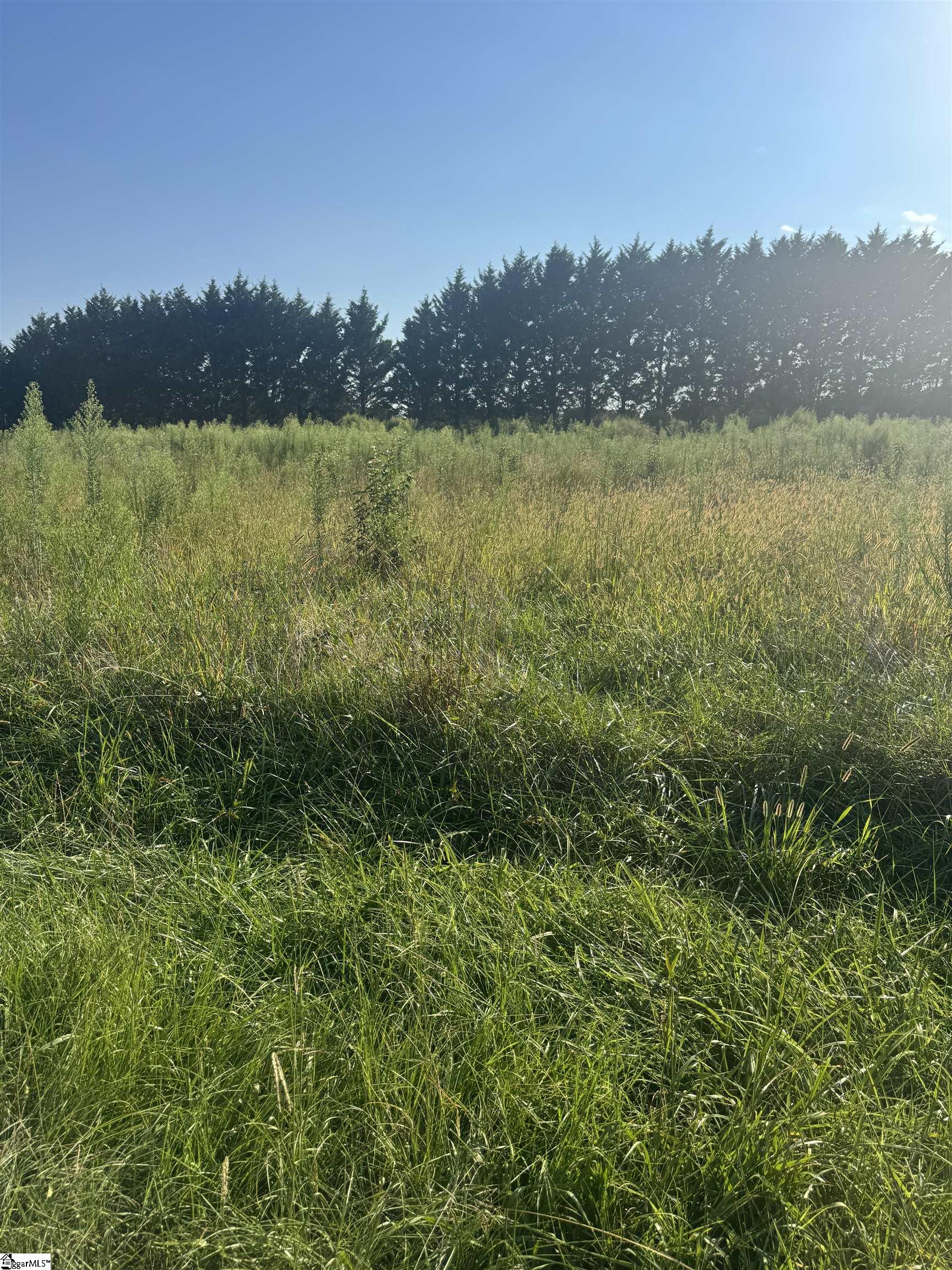 40,42 Lester Road Williamston, SC 29697