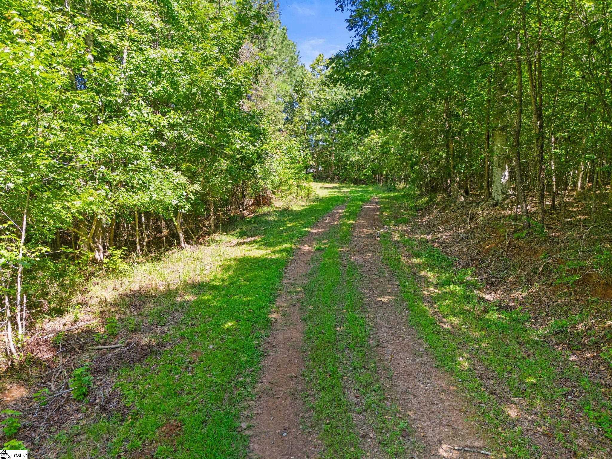 388 Mountain Creek Road Honea Path, SC 29654