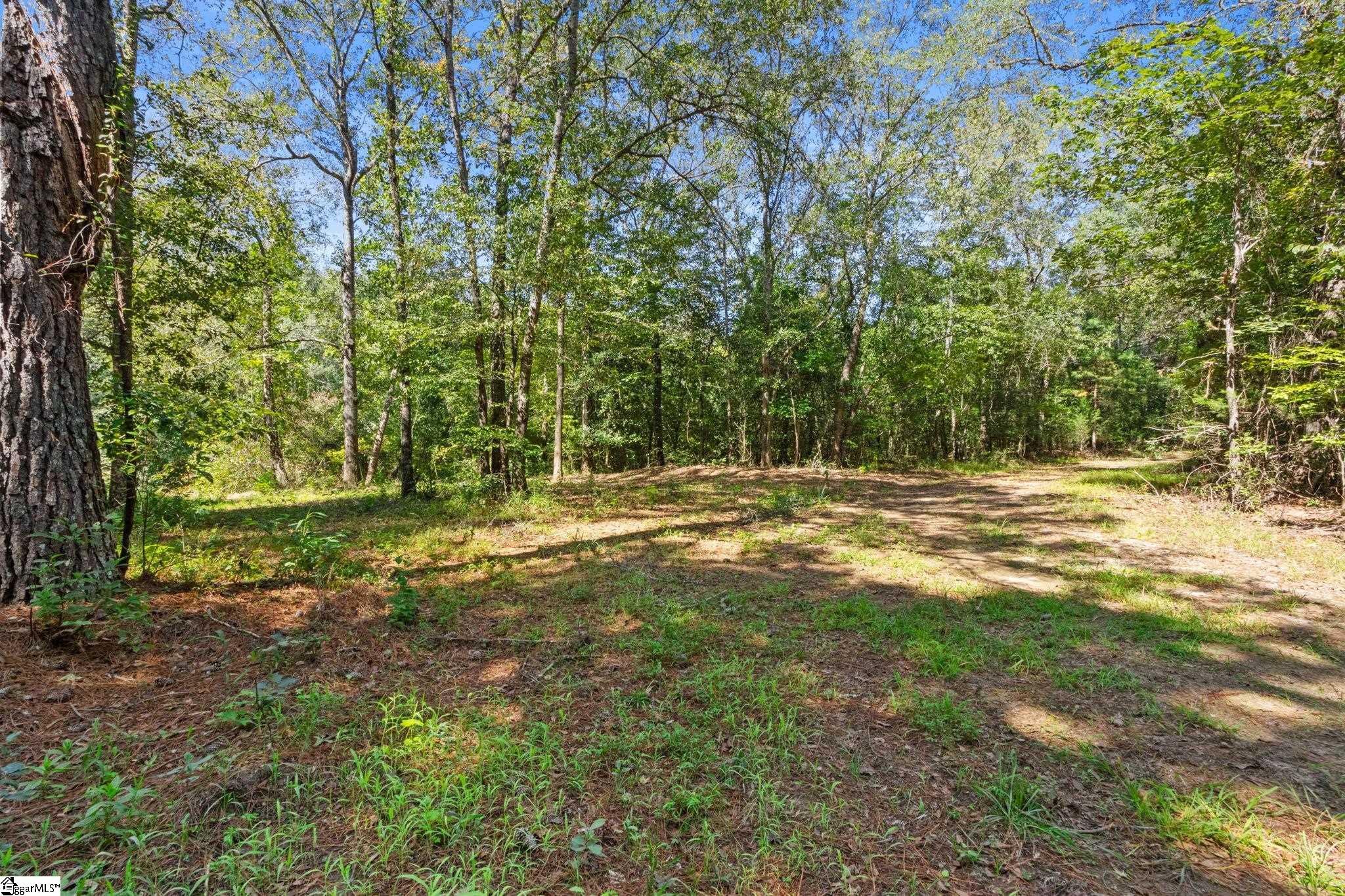 388 Mountain Creek Road Honea Path, SC 29654