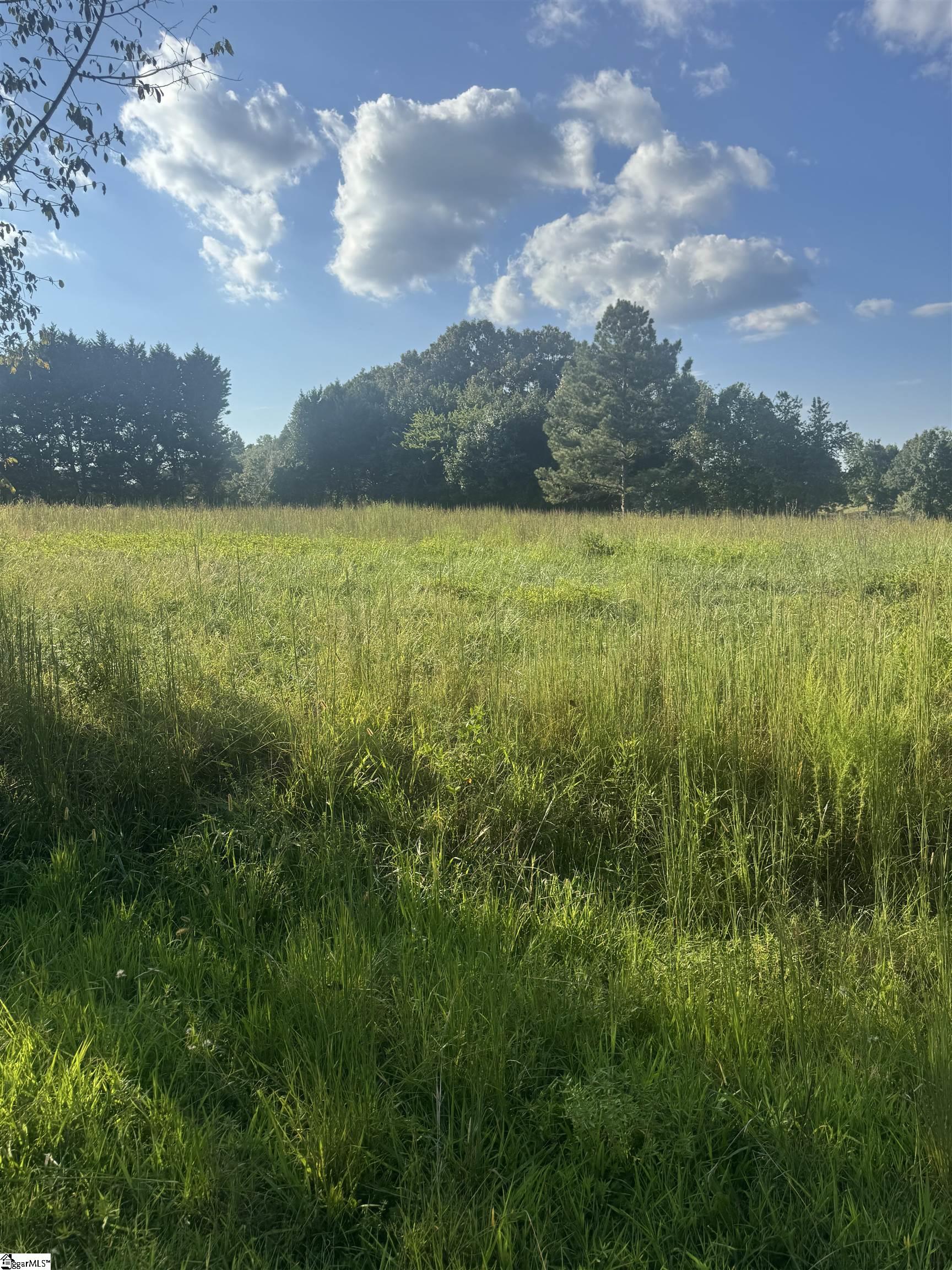 125,127 Windfield Hill Road Williamston, SC 29697
