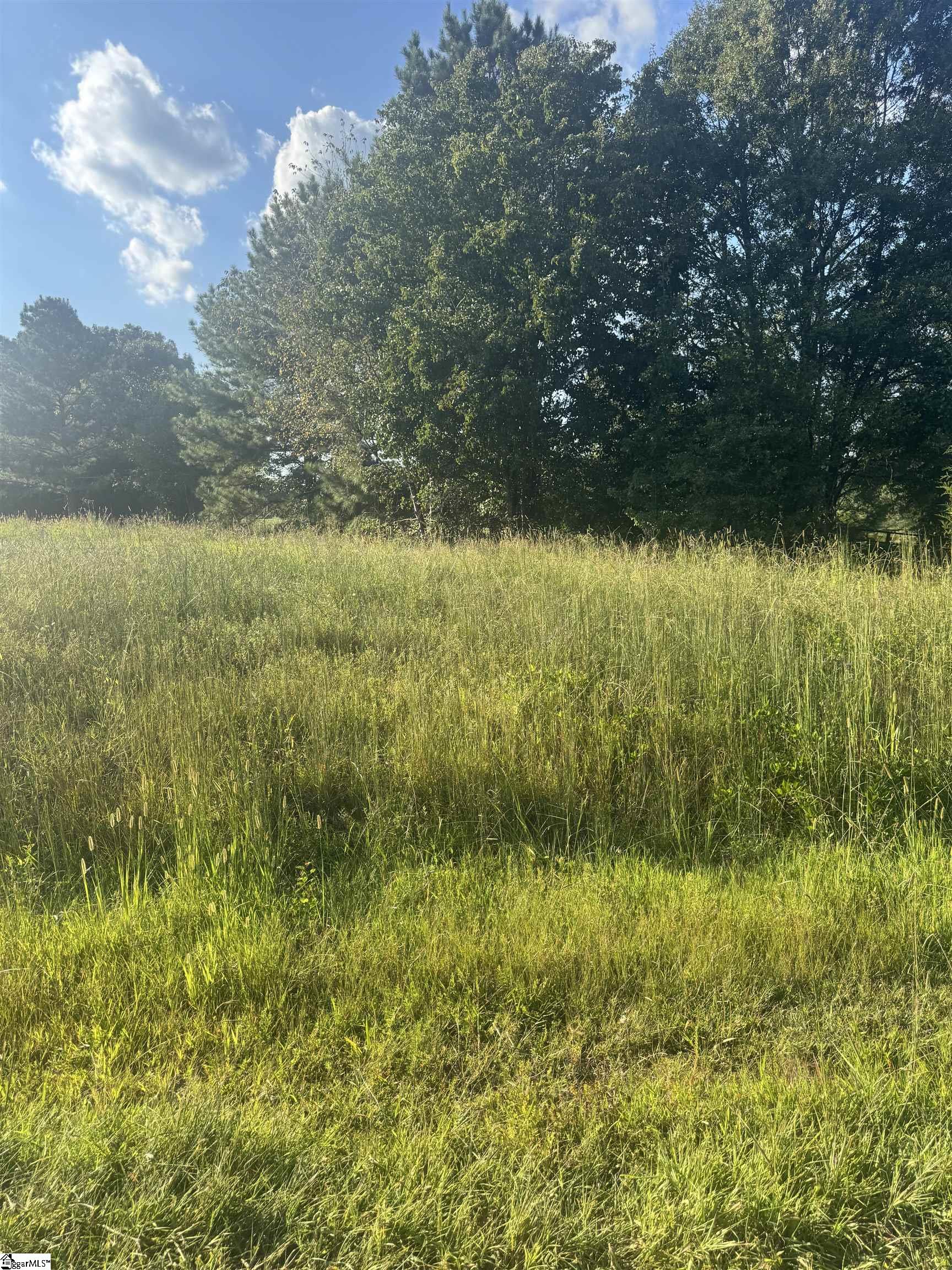 125,127 Windfield Hill Road Williamston, SC 29697