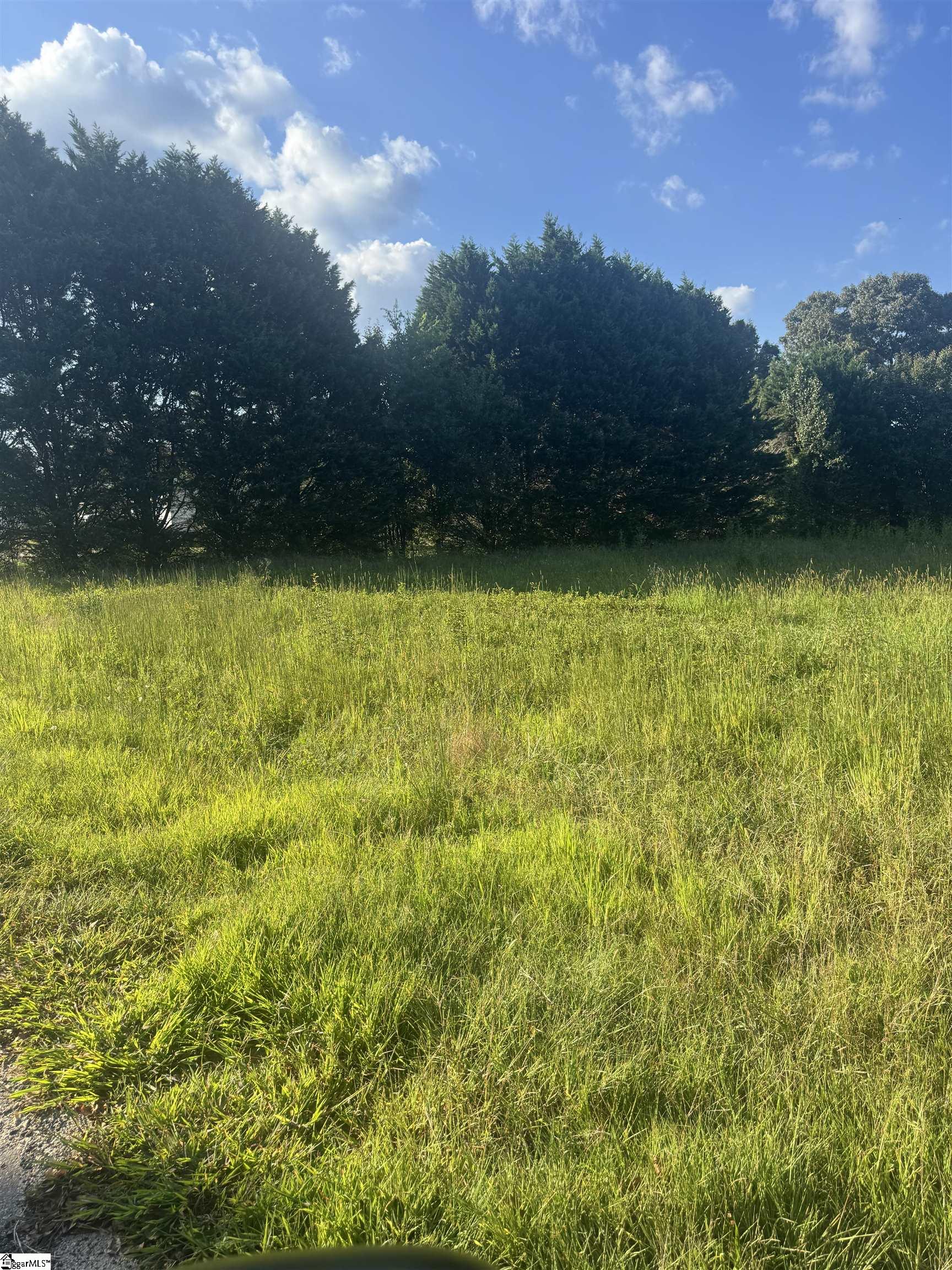 125,127 Windfield Hill Road Williamston, SC 29697