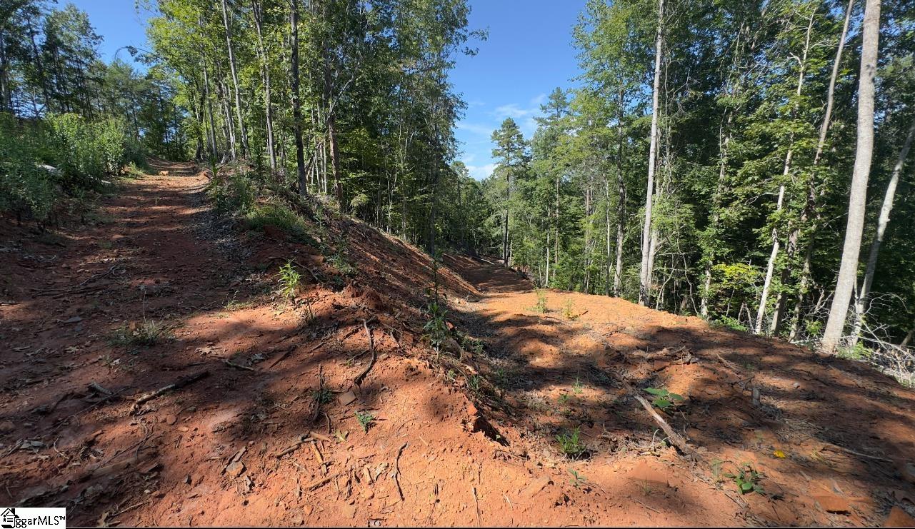 Track 3 Lakeside Drive Six Mile, SC 29682