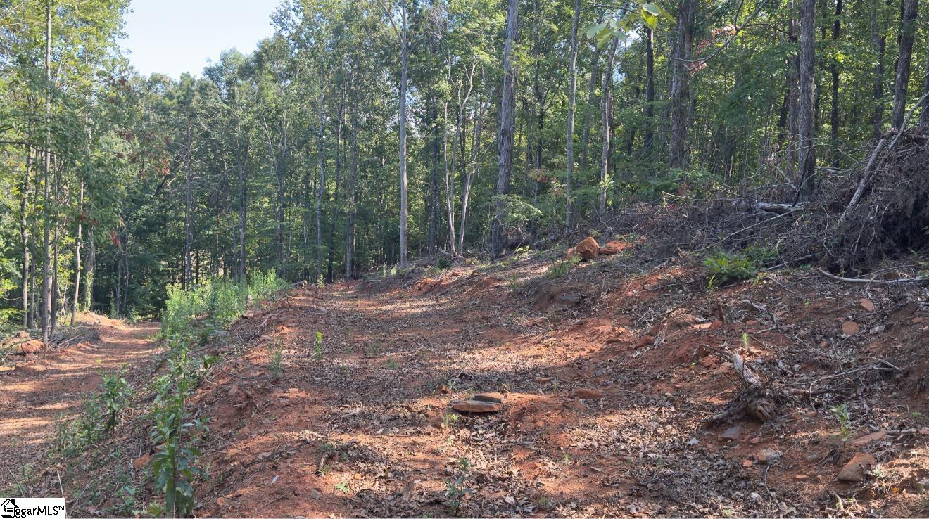 Track 3 Lakeside Drive Six Mile, SC 29682