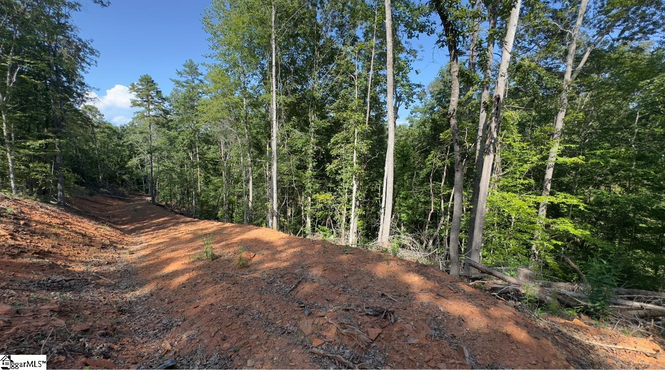 Track 3 Lakeside Drive Six Mile, SC 29682