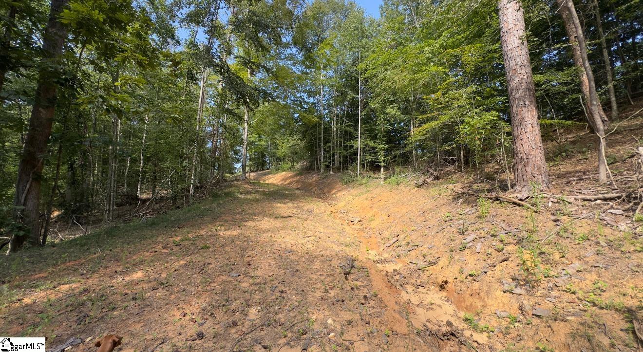 Track 3 Lakeside Drive Six Mile, SC 29682