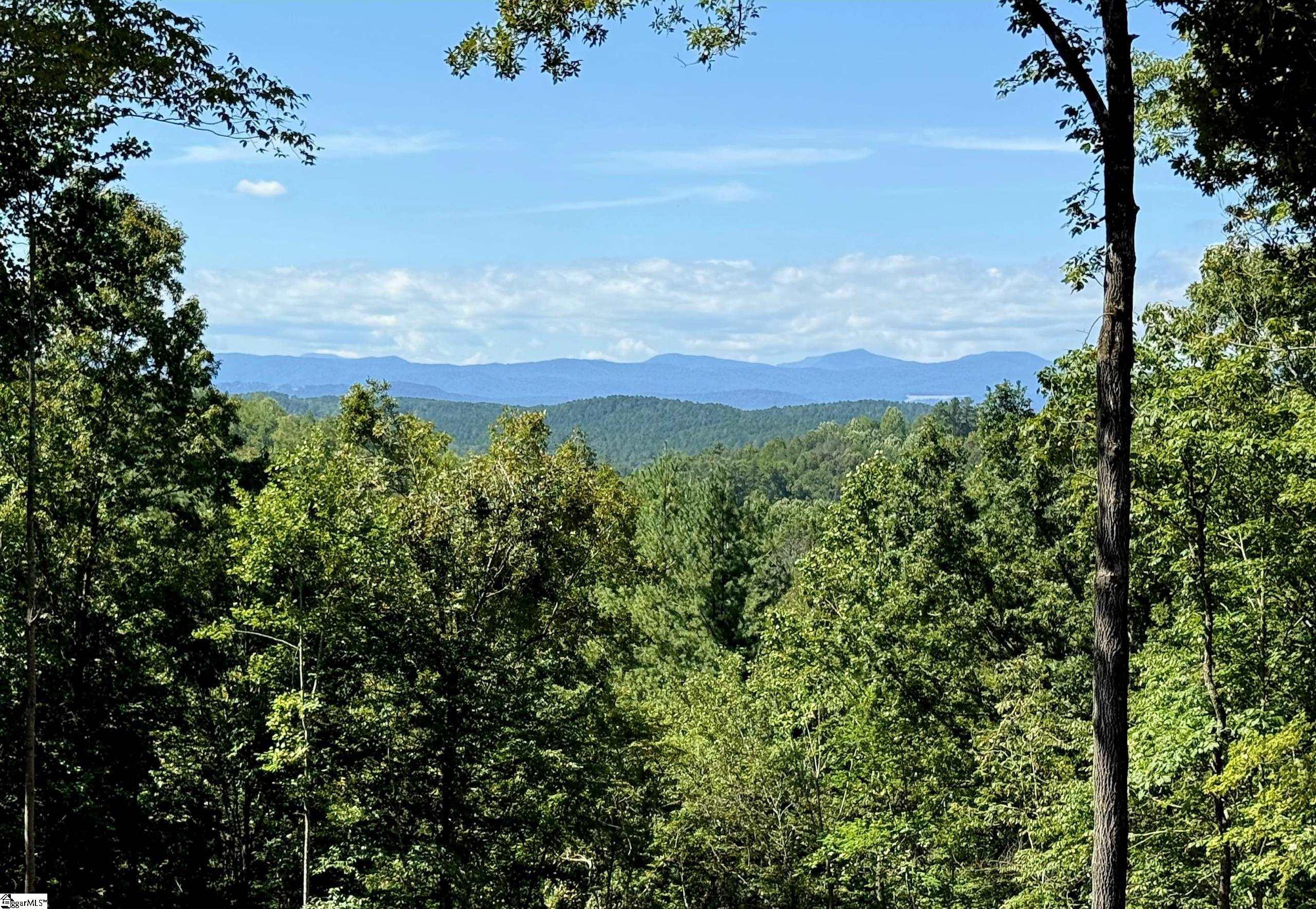 Track 3 Lakeside Drive Six Mile, SC 29682