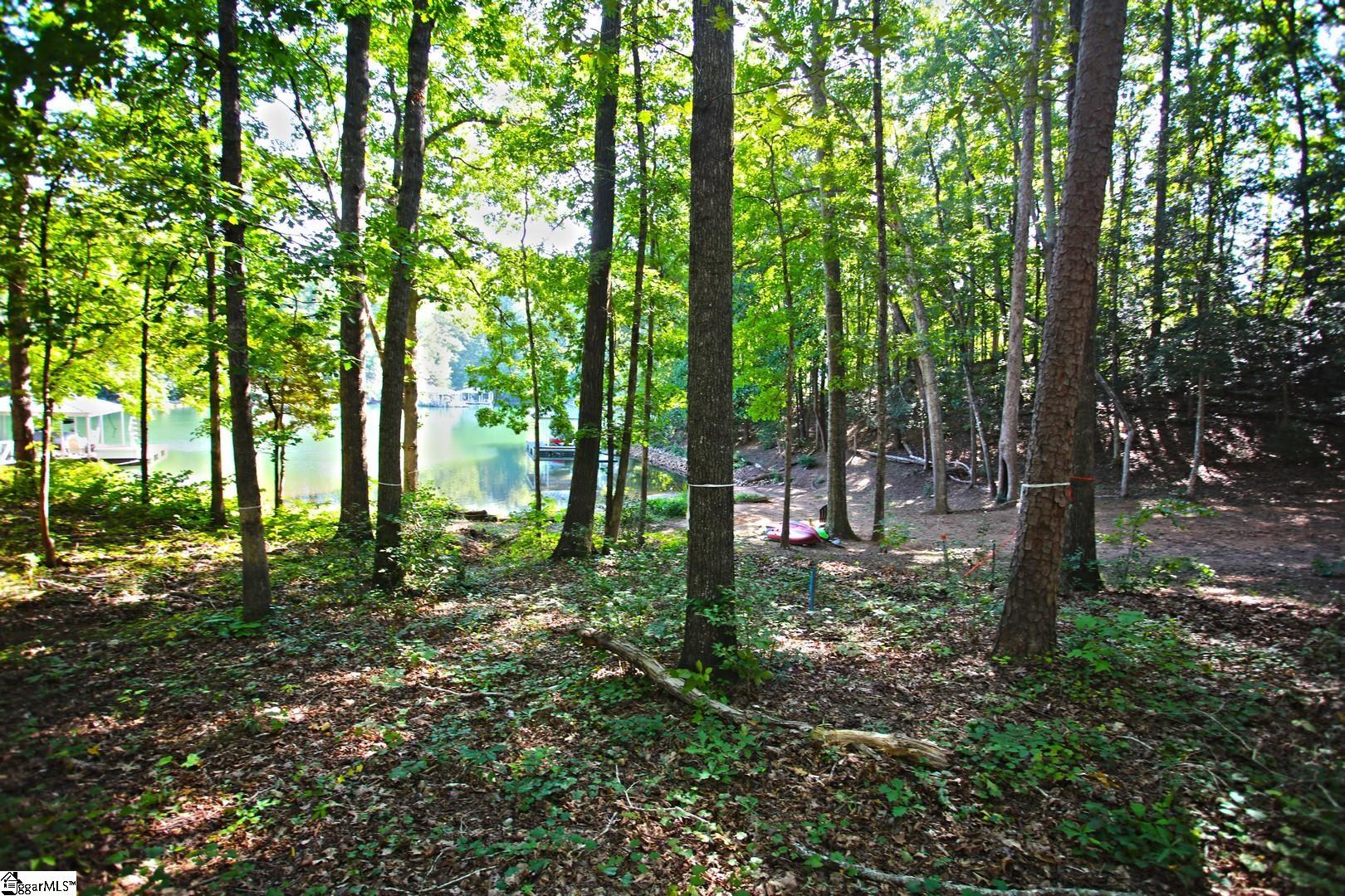 556 Riverstone Drive Salem, SC 29676