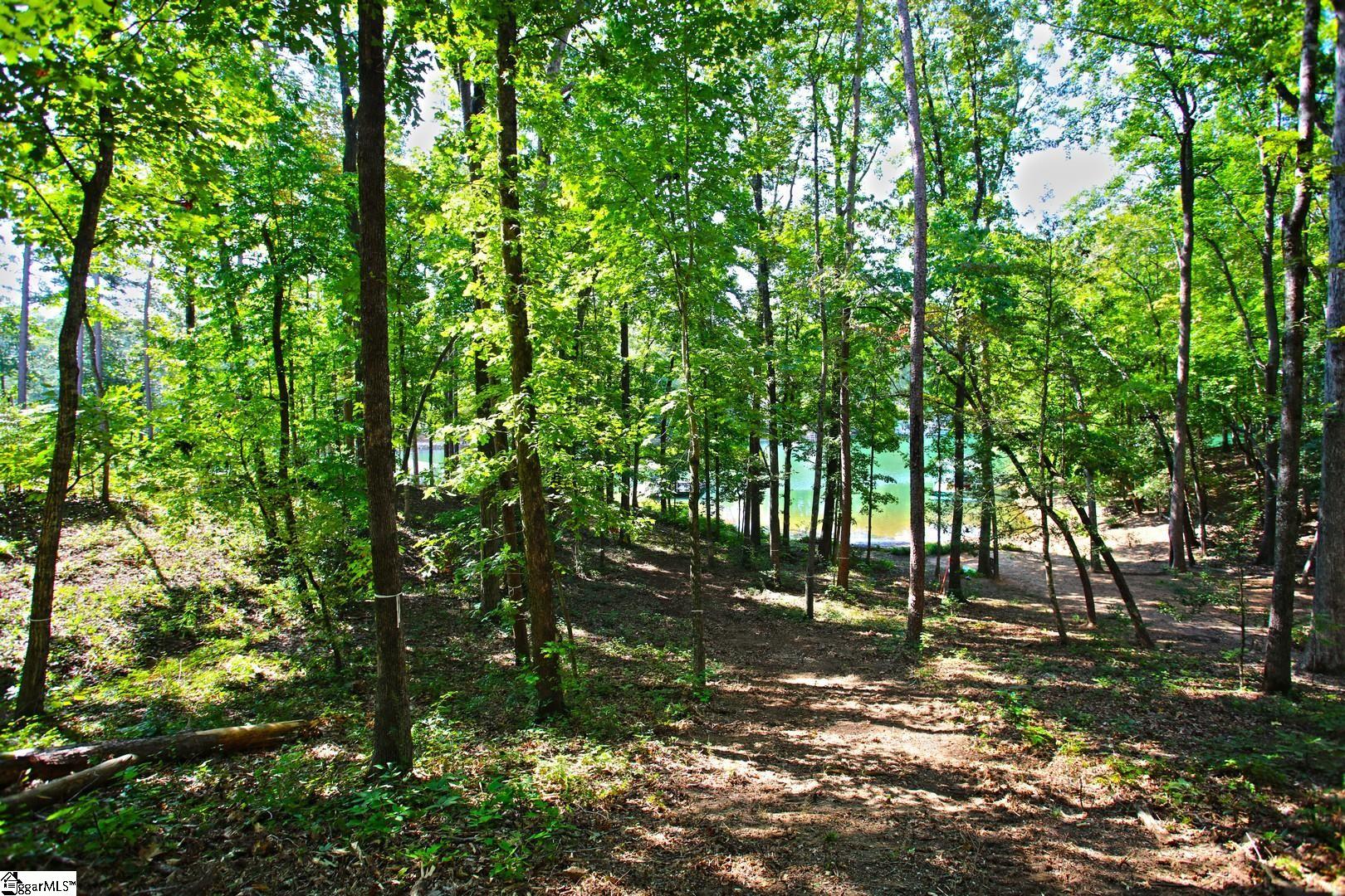 556 Riverstone Drive Salem, SC 29676
