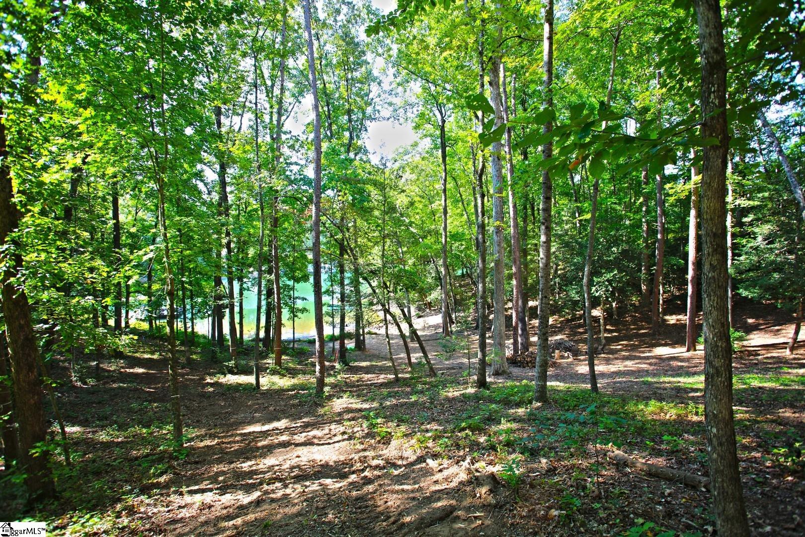 556 Riverstone Drive Salem, SC 29676