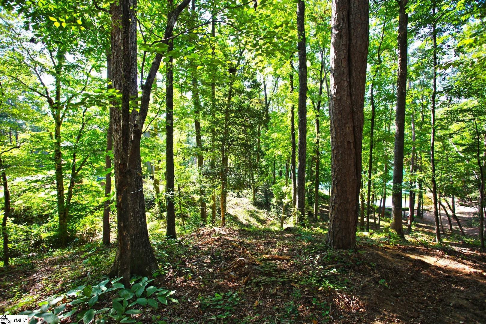 556 Riverstone Drive Salem, SC 29676