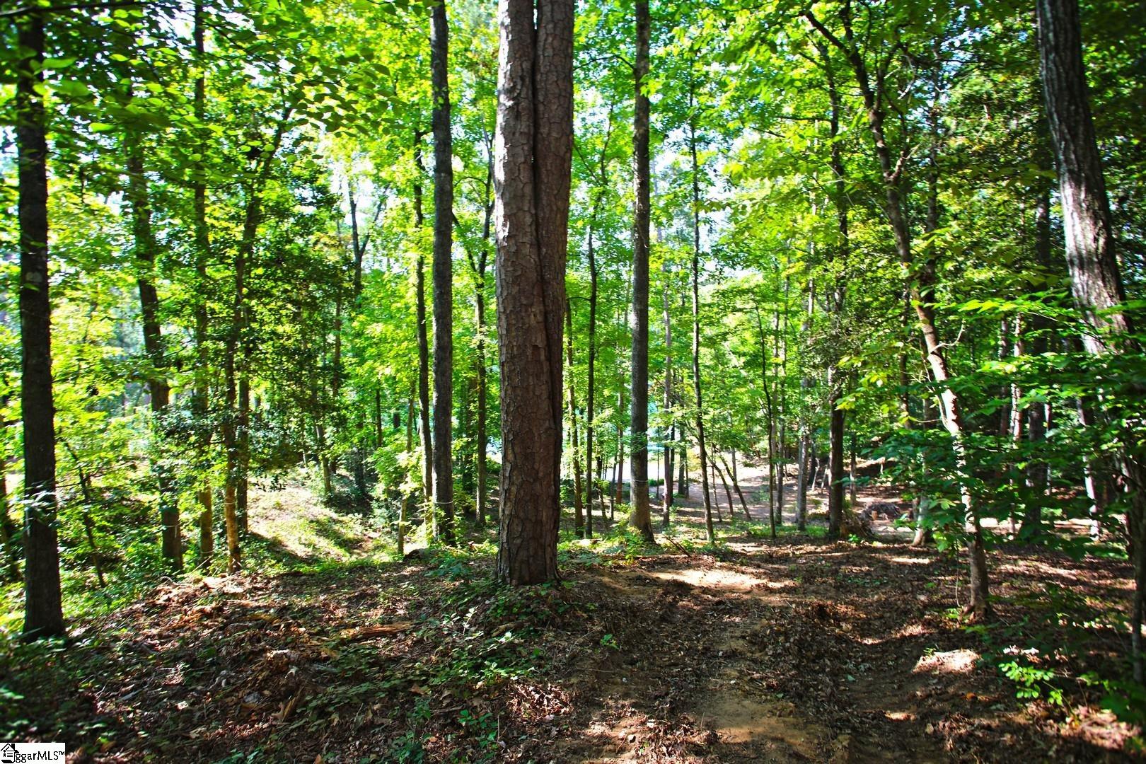 556 Riverstone Drive Salem, SC 29676