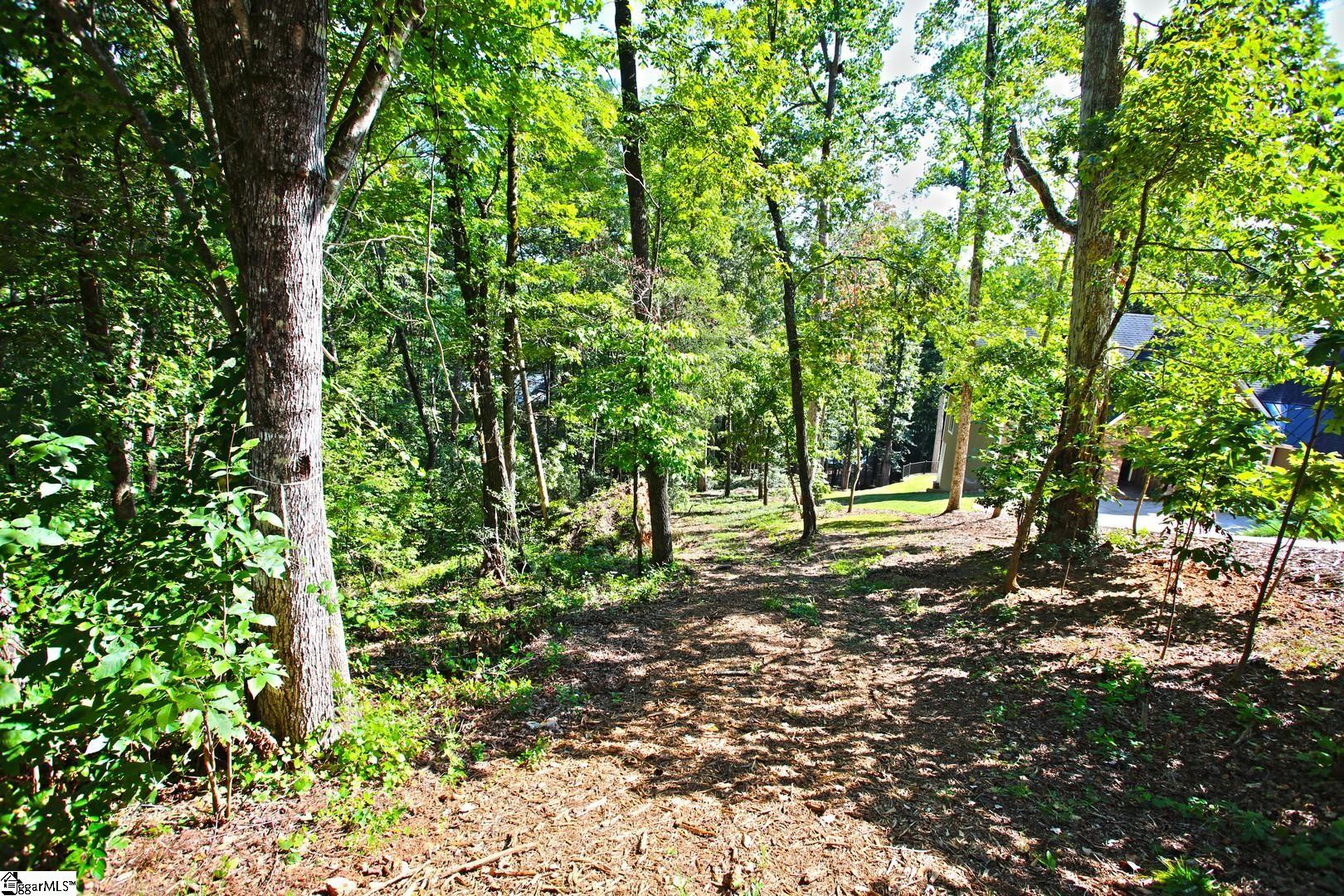 556 Riverstone Drive Salem, SC 29676