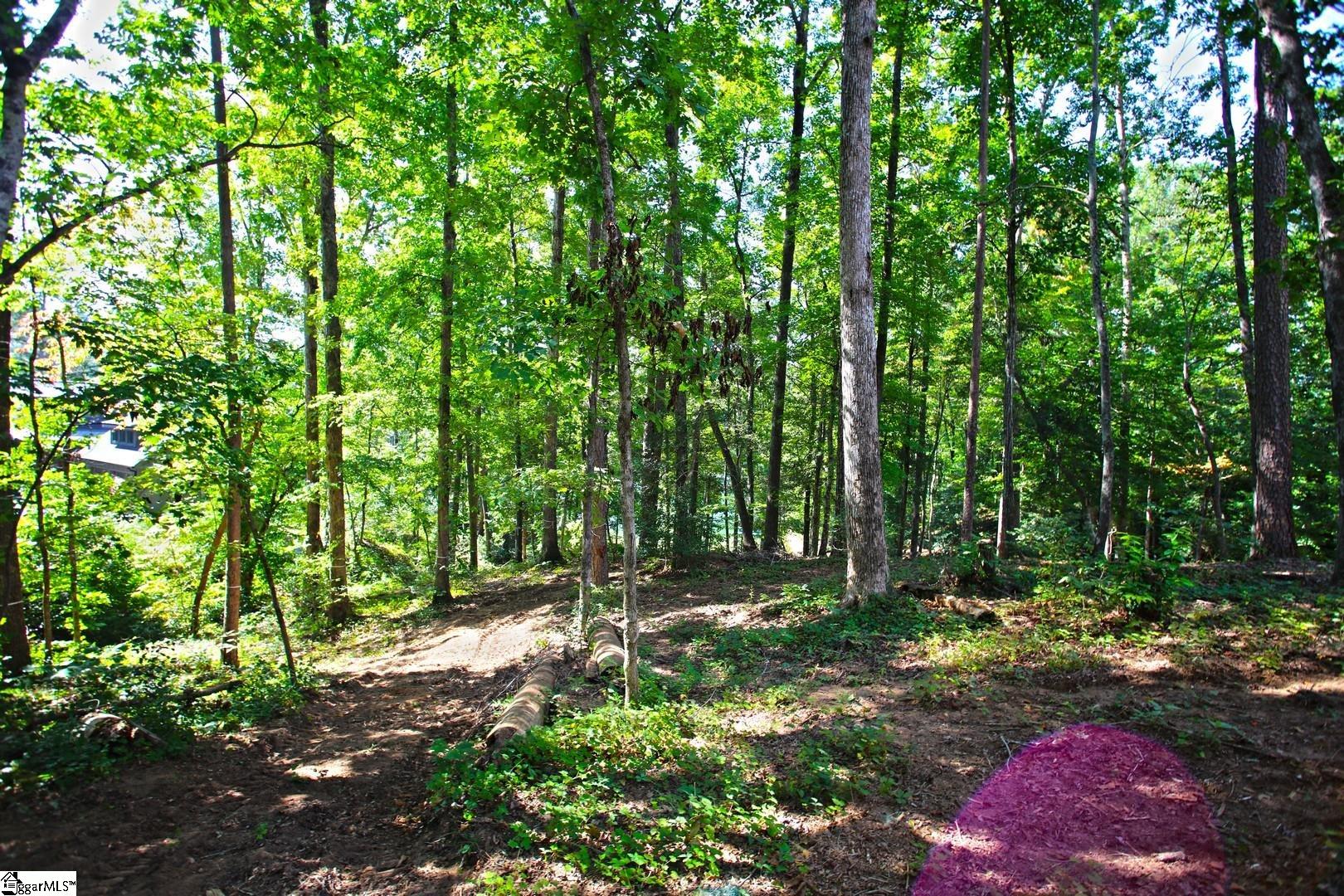 556 Riverstone Drive Salem, SC 29676