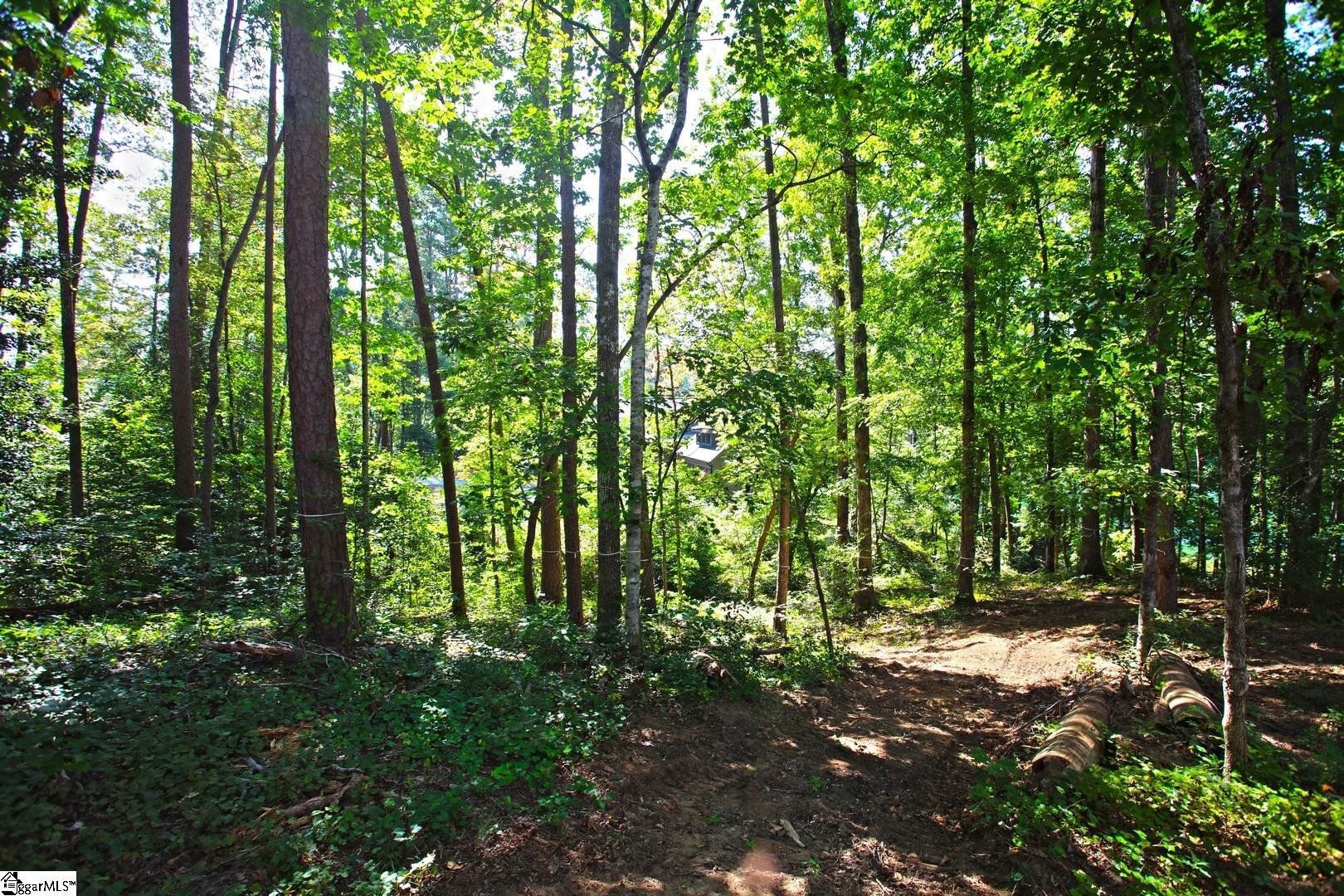 556 Riverstone Drive Salem, SC 29676