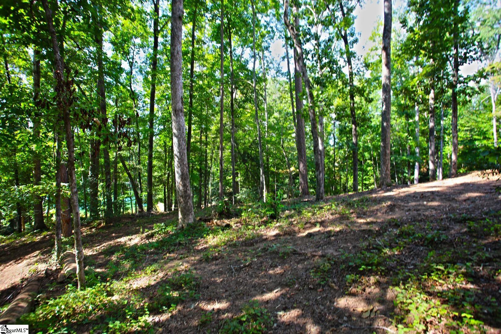 556 Riverstone Drive Salem, SC 29676
