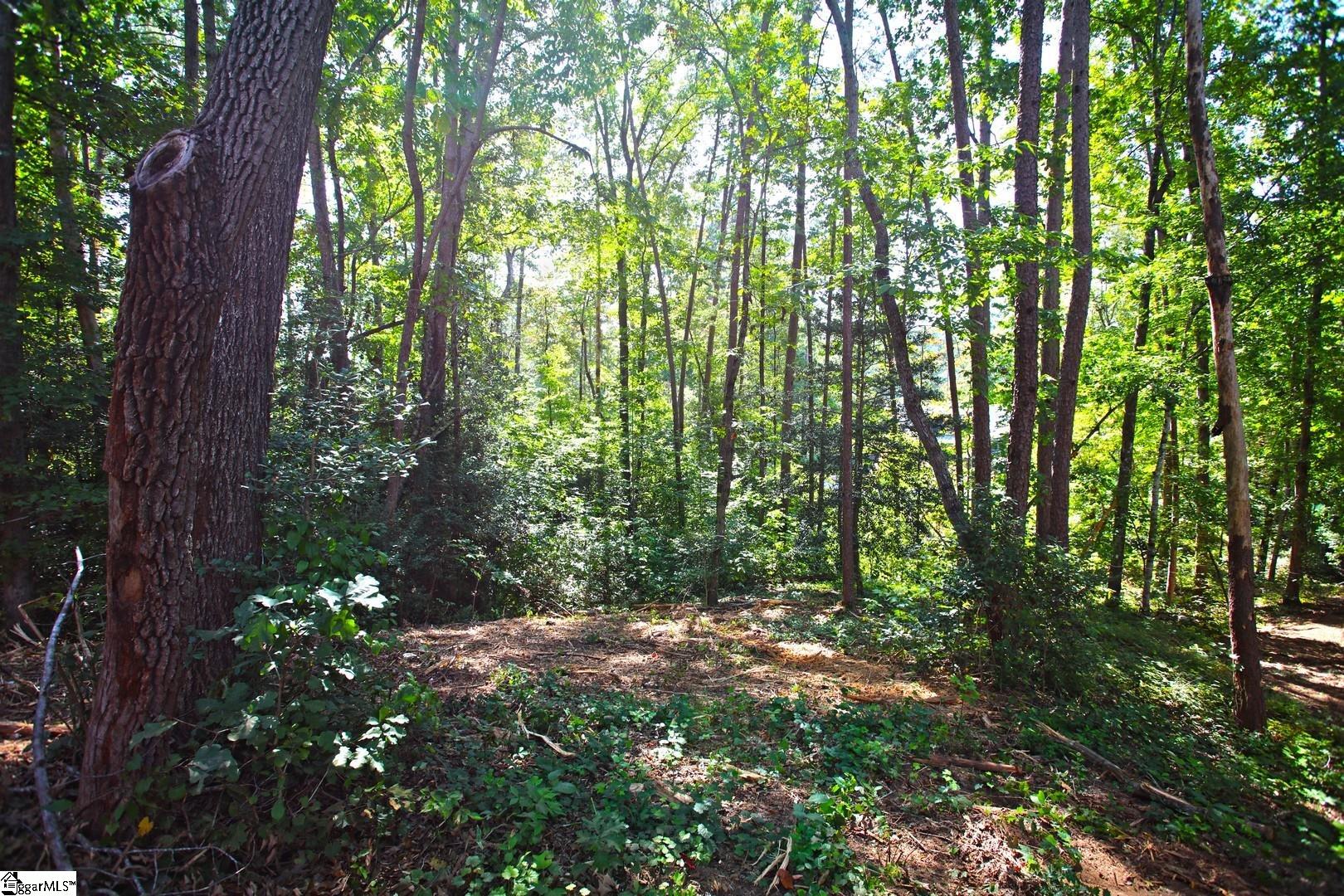 556 Riverstone Drive Salem, SC 29676