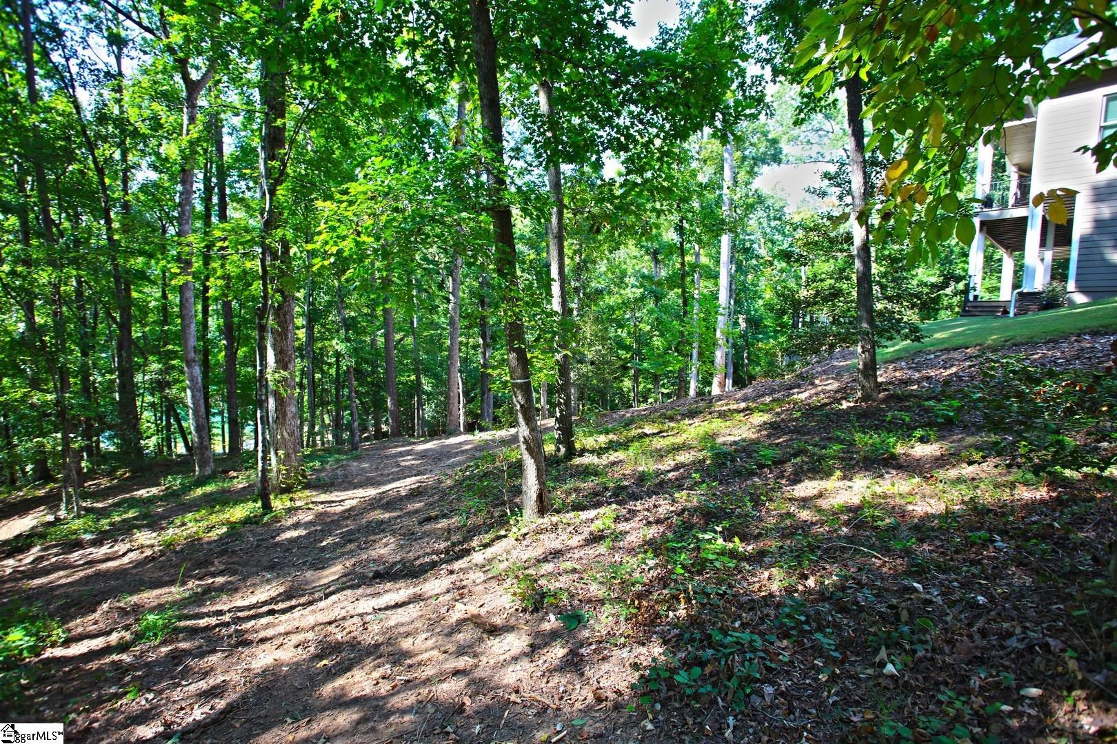 556 Riverstone Drive Salem, SC 29676