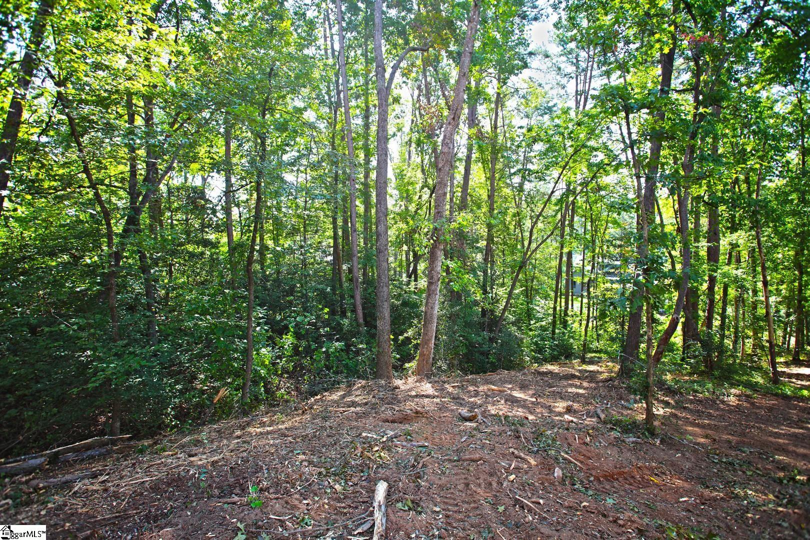 556 Riverstone Drive Salem, SC 29676