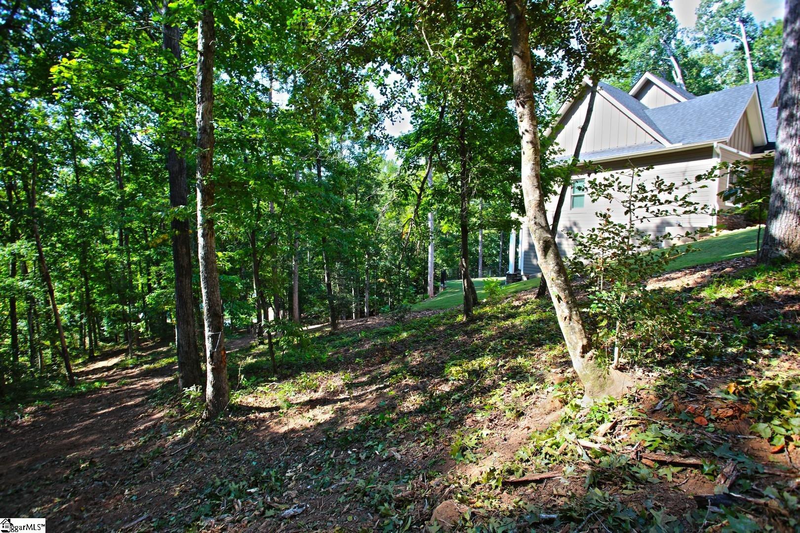 556 Riverstone Drive Salem, SC 29676