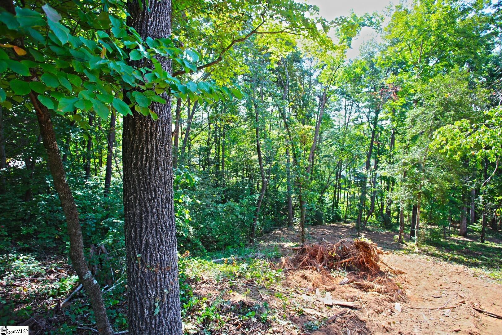 556 Riverstone Drive Salem, SC 29676