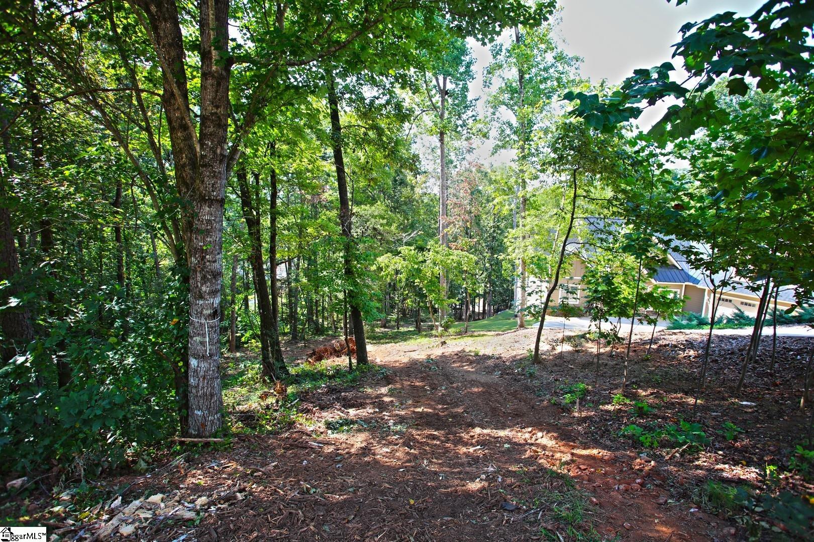 556 Riverstone Drive Salem, SC 29676