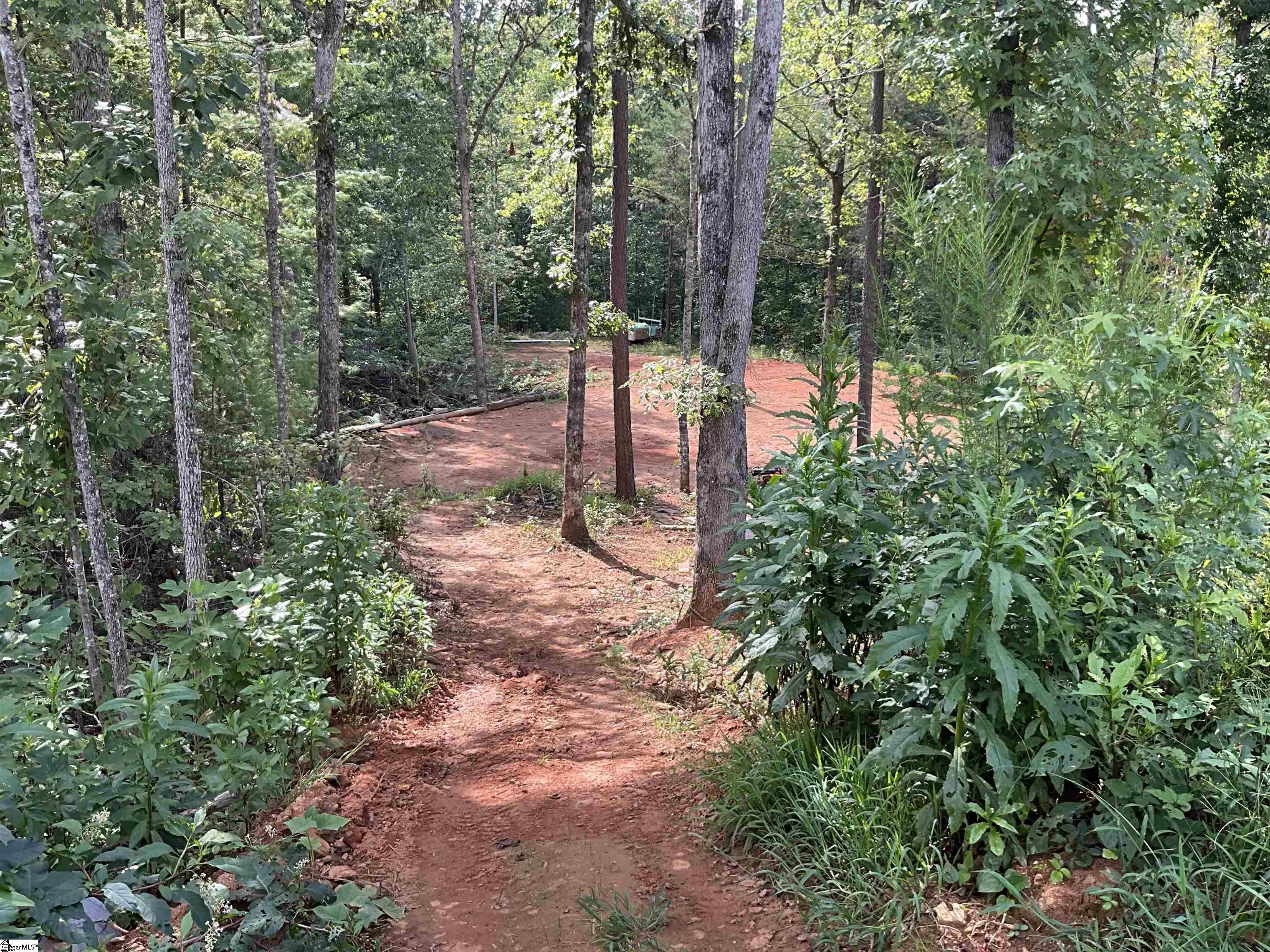 23 Sawblade Ridge Marietta, SC 29661