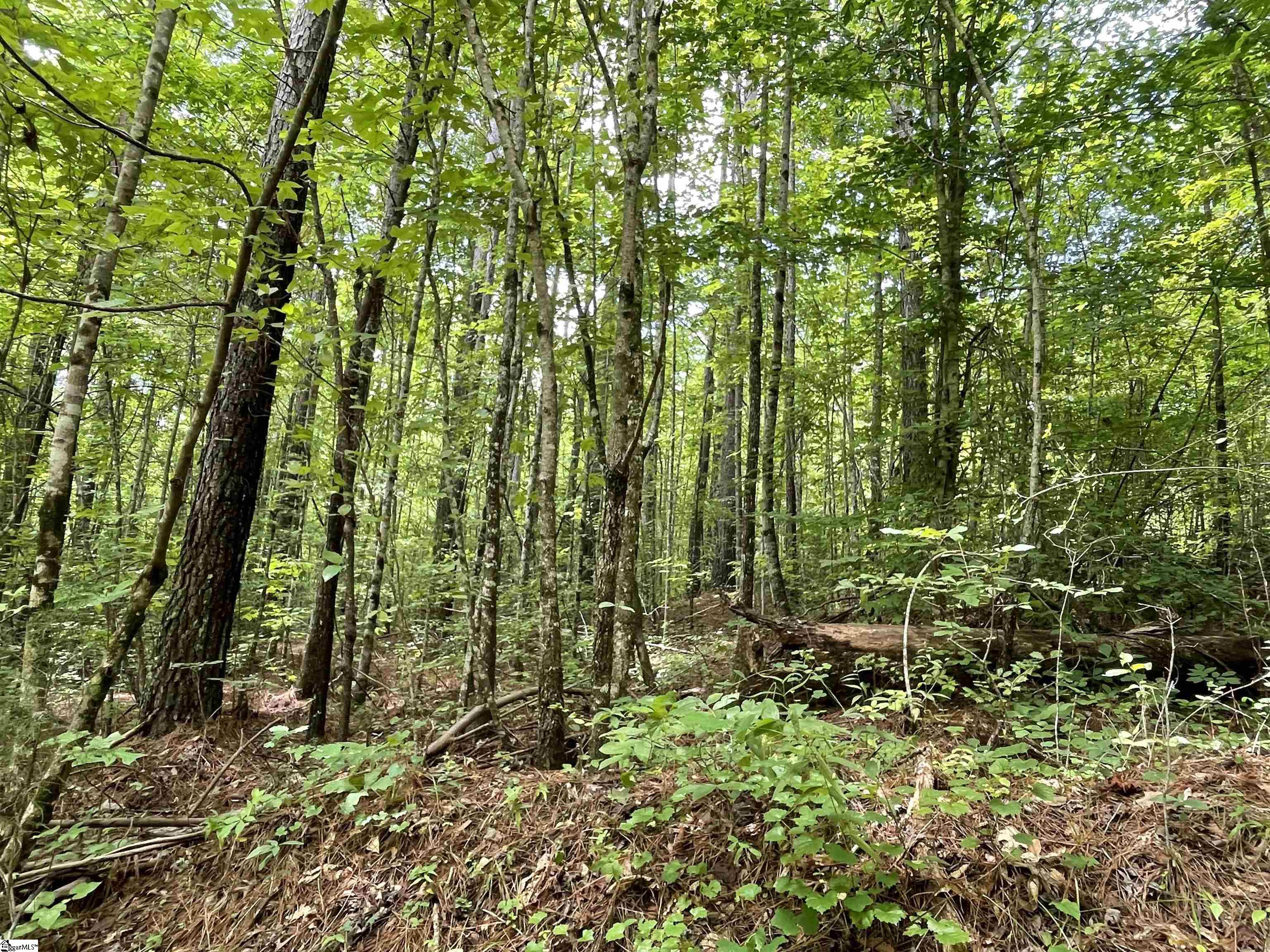 00 N Lake Drive Salem, SC 29686