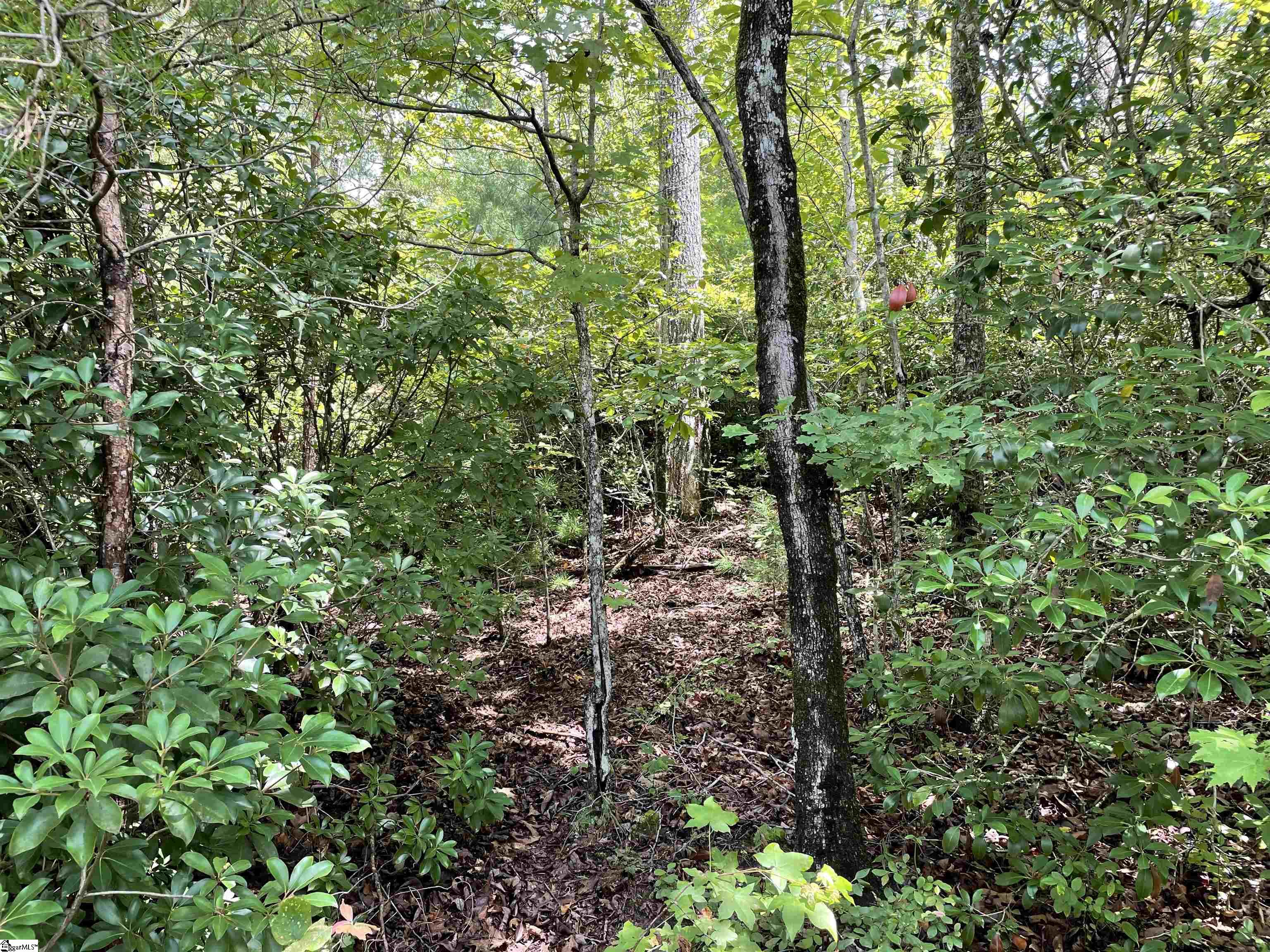 00 N Lake Drive Salem, SC 29686