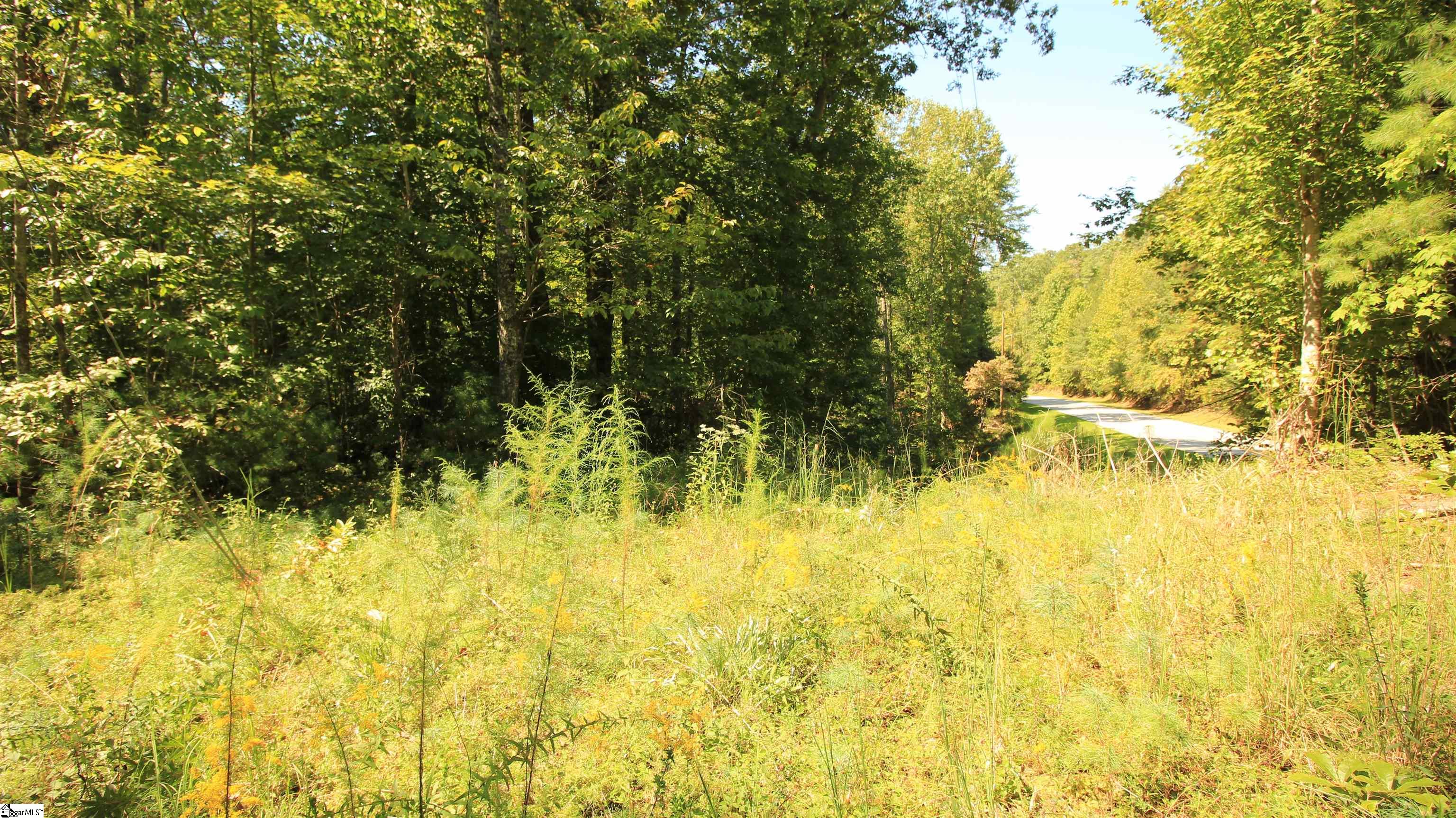 Lot 27 Cleo Chapman Highway Sunset, SC 29685