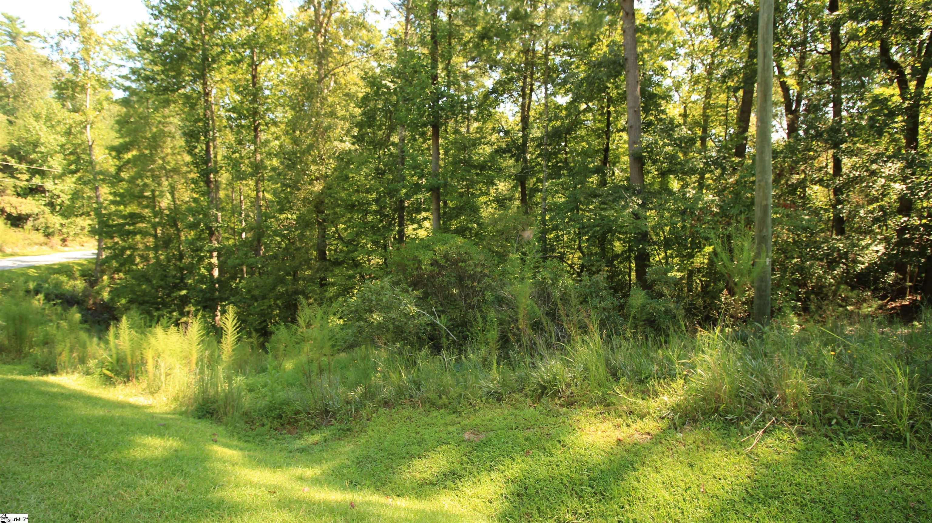 Lot 27 Cleo Chapman Highway Sunset, SC 29685