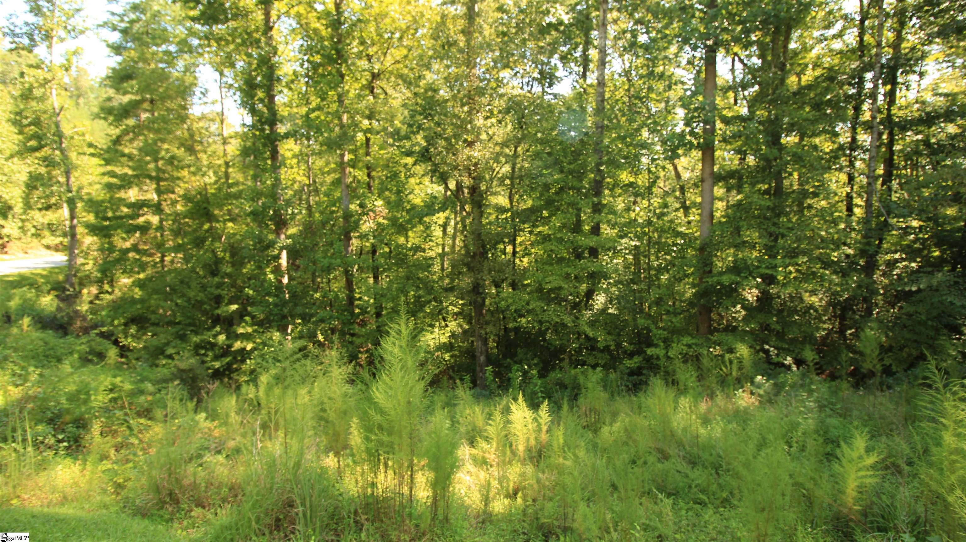 Lot 27 Cleo Chapman Highway Sunset, SC 29685
