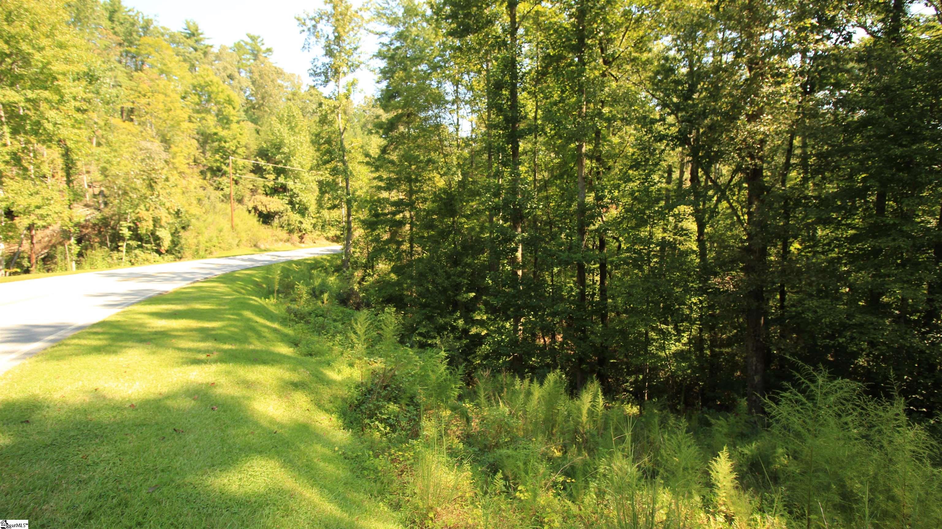 Lot 27 Cleo Chapman Highway Sunset, SC 29685