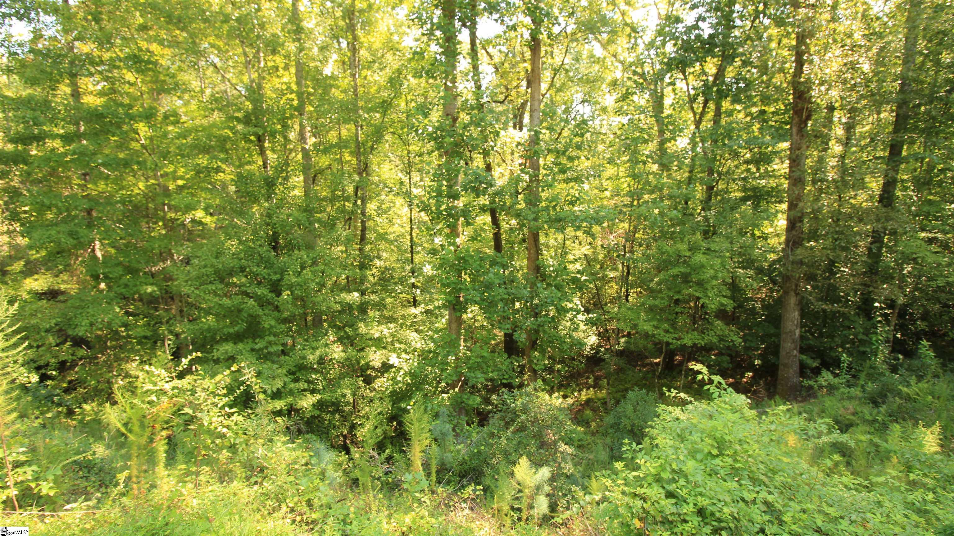 Lot 27 Cleo Chapman Highway Sunset, SC 29685