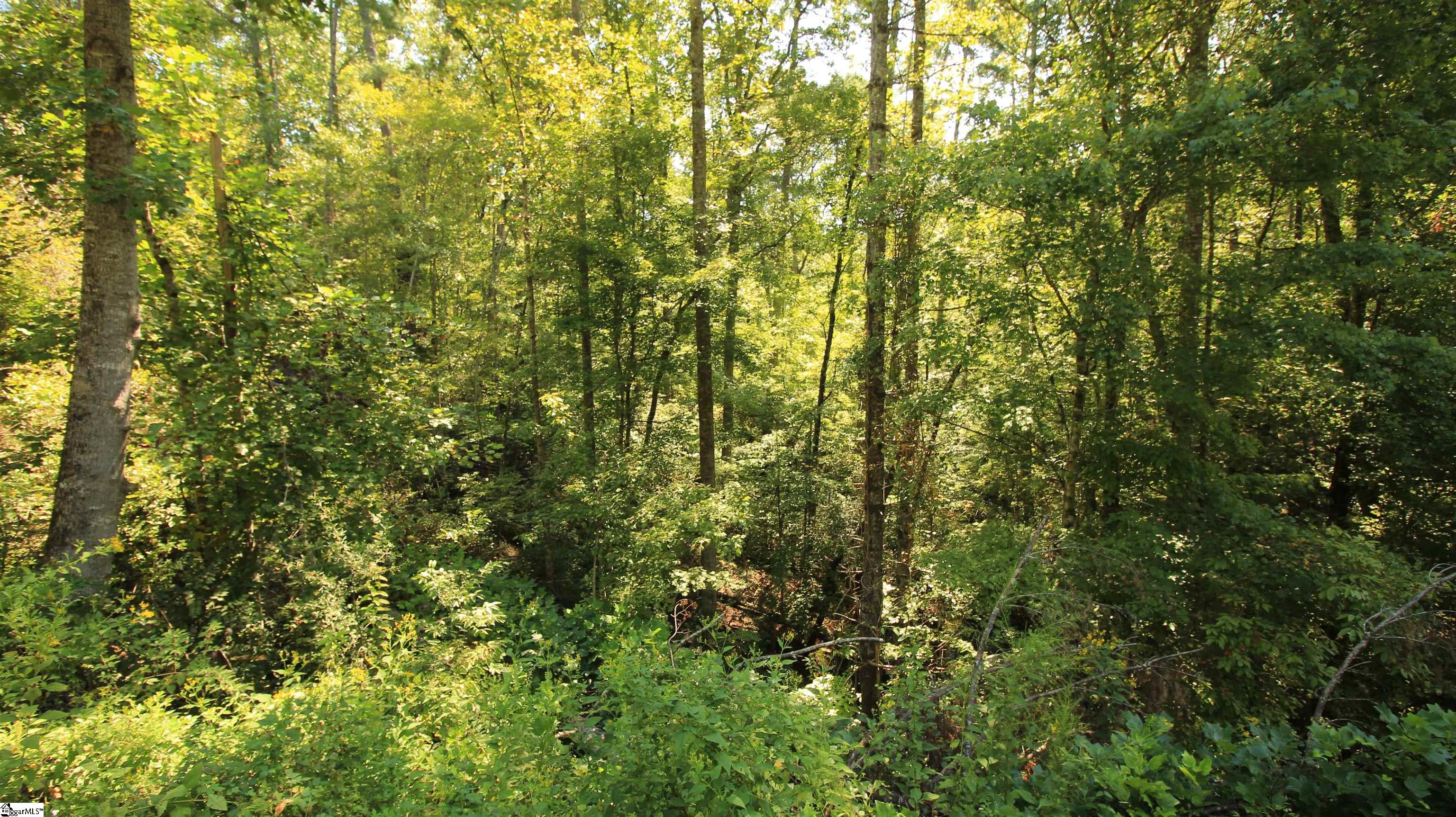 Lot 27 Cleo Chapman Highway Sunset, SC 29685