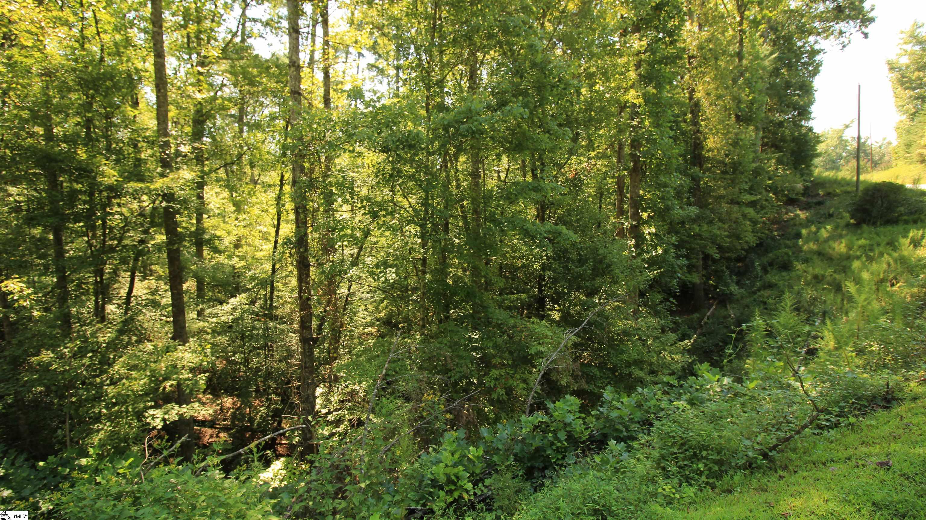 Lot 27 Cleo Chapman Highway Sunset, SC 29685