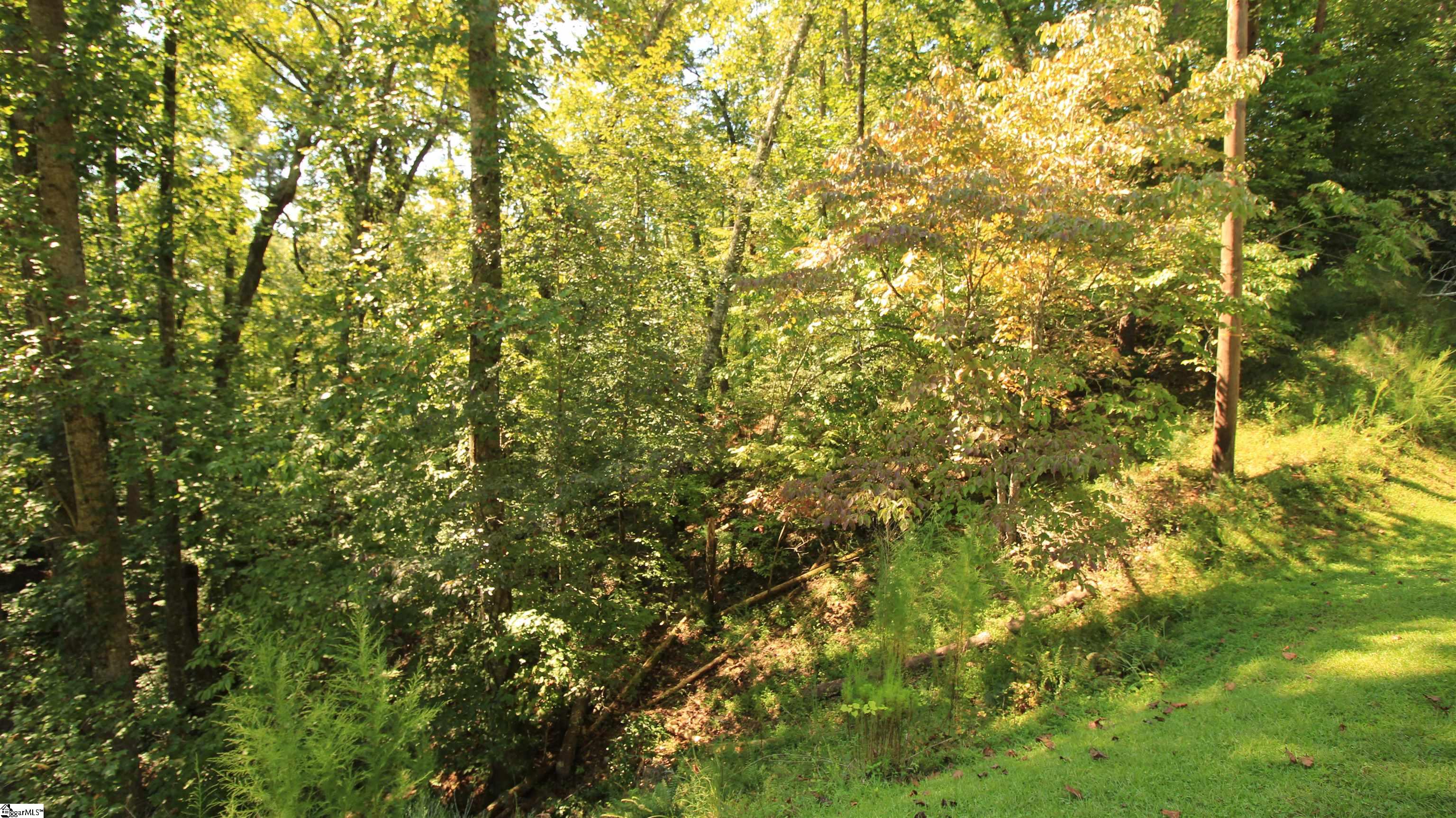 Lot 27 Cleo Chapman Highway Sunset, SC 29685