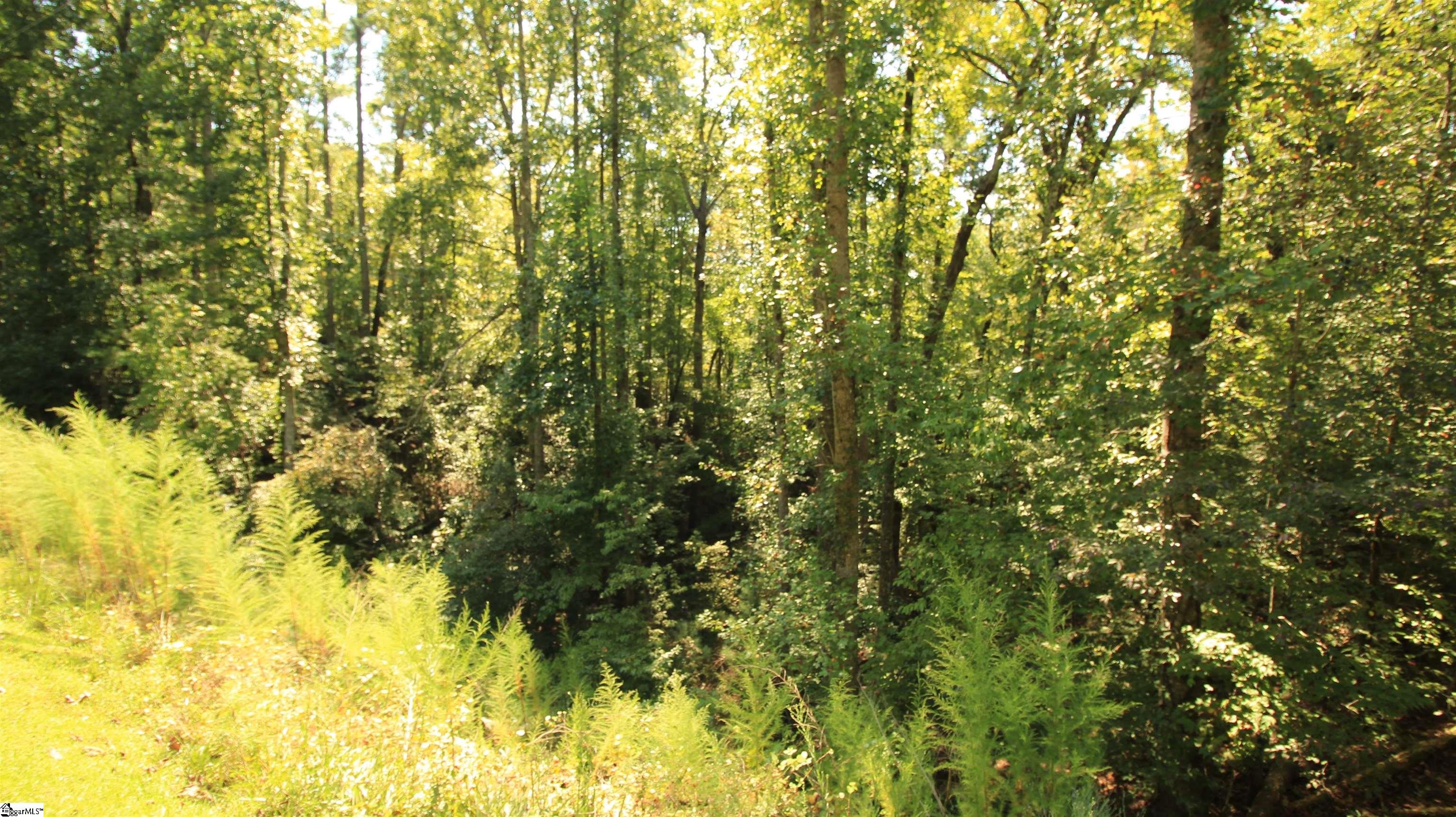 Lot 27 Cleo Chapman Highway Sunset, SC 29685