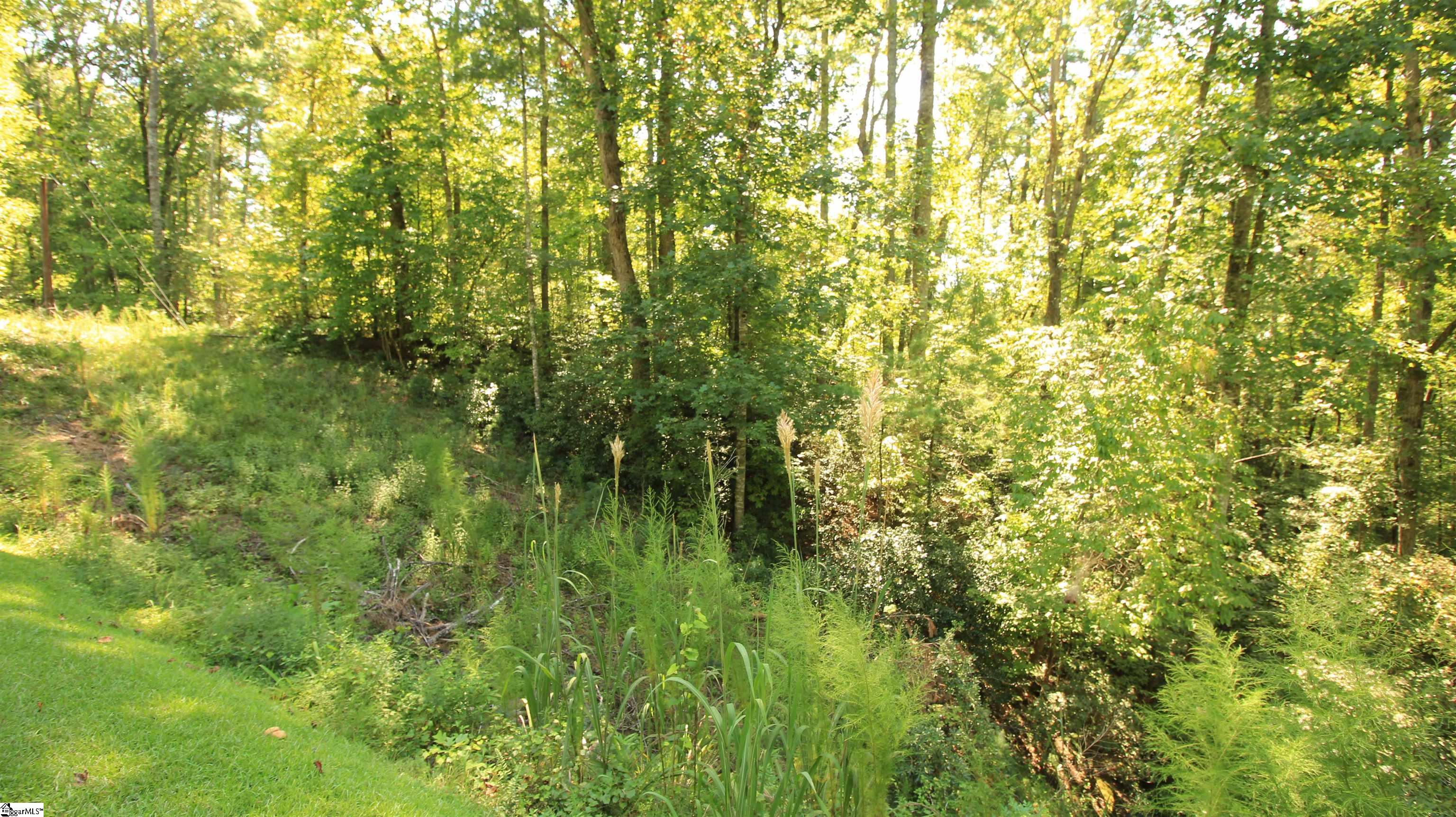 Lot 27 Cleo Chapman Highway Sunset, SC 29685
