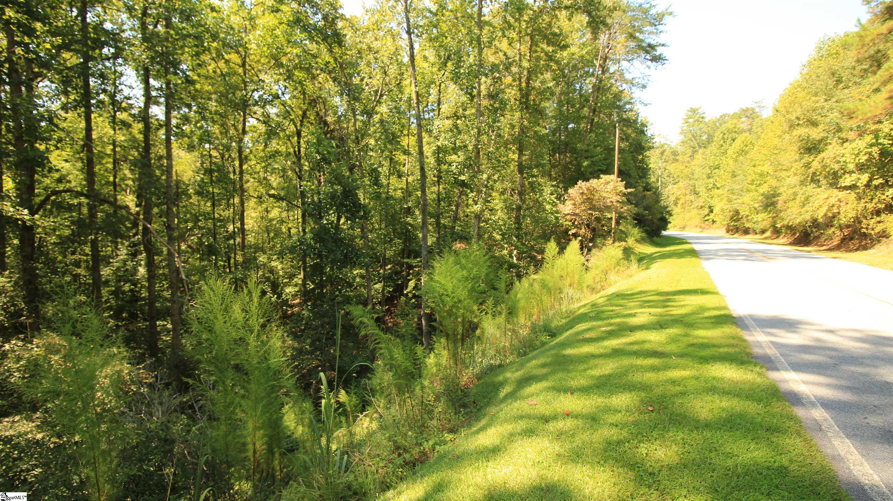 Lot 27 Cleo Chapman Highway Sunset, SC 29685