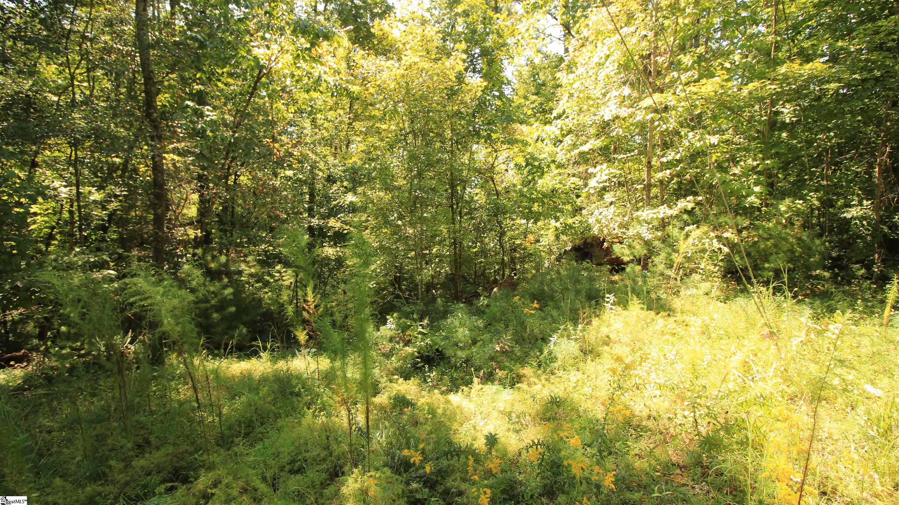 Lot 27 Cleo Chapman Highway Sunset, SC 29685